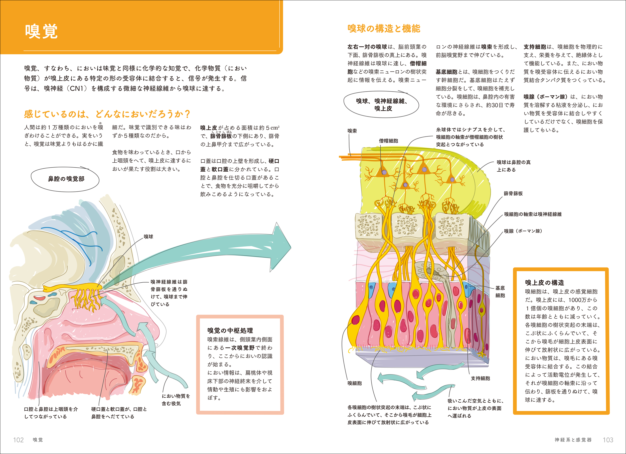 サムネイル画像3