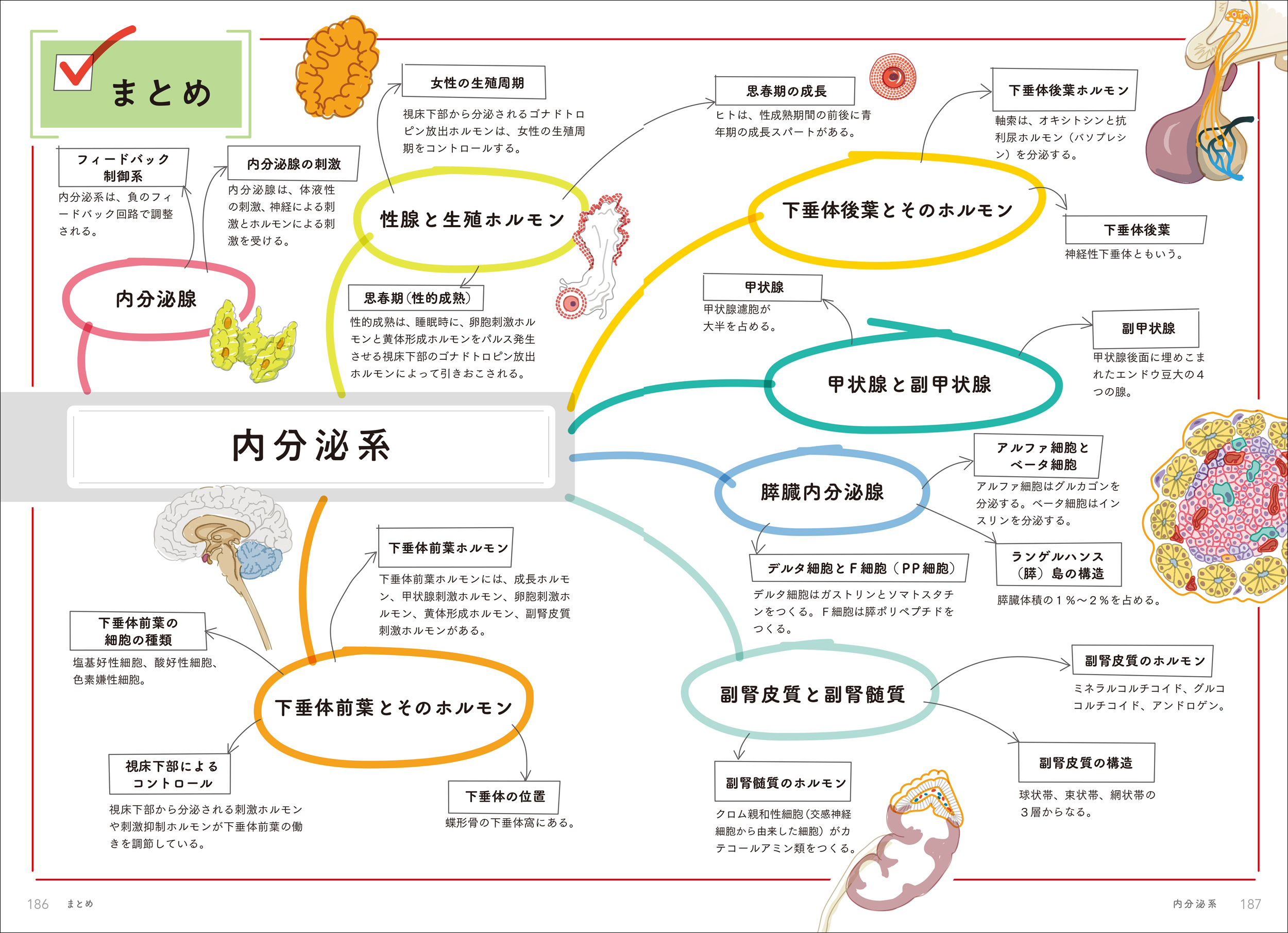 サムネイル画像4