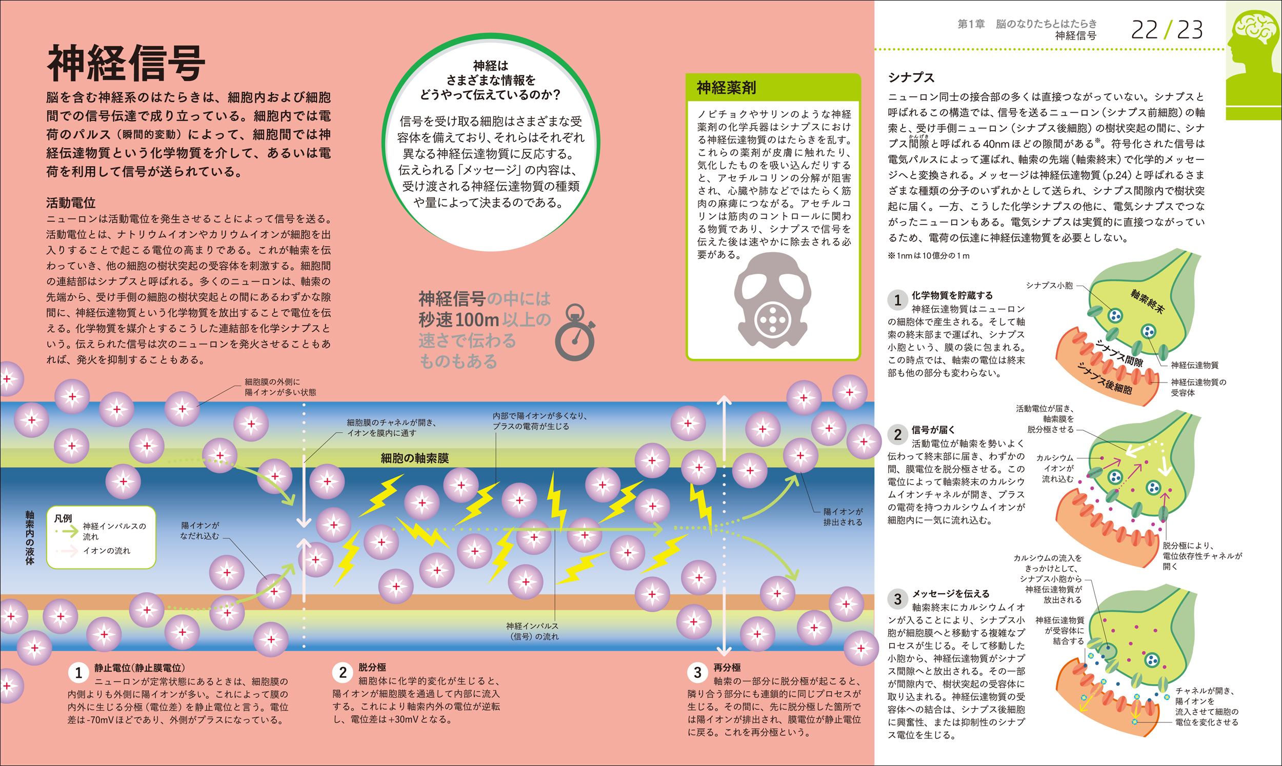 サムネイル画像3