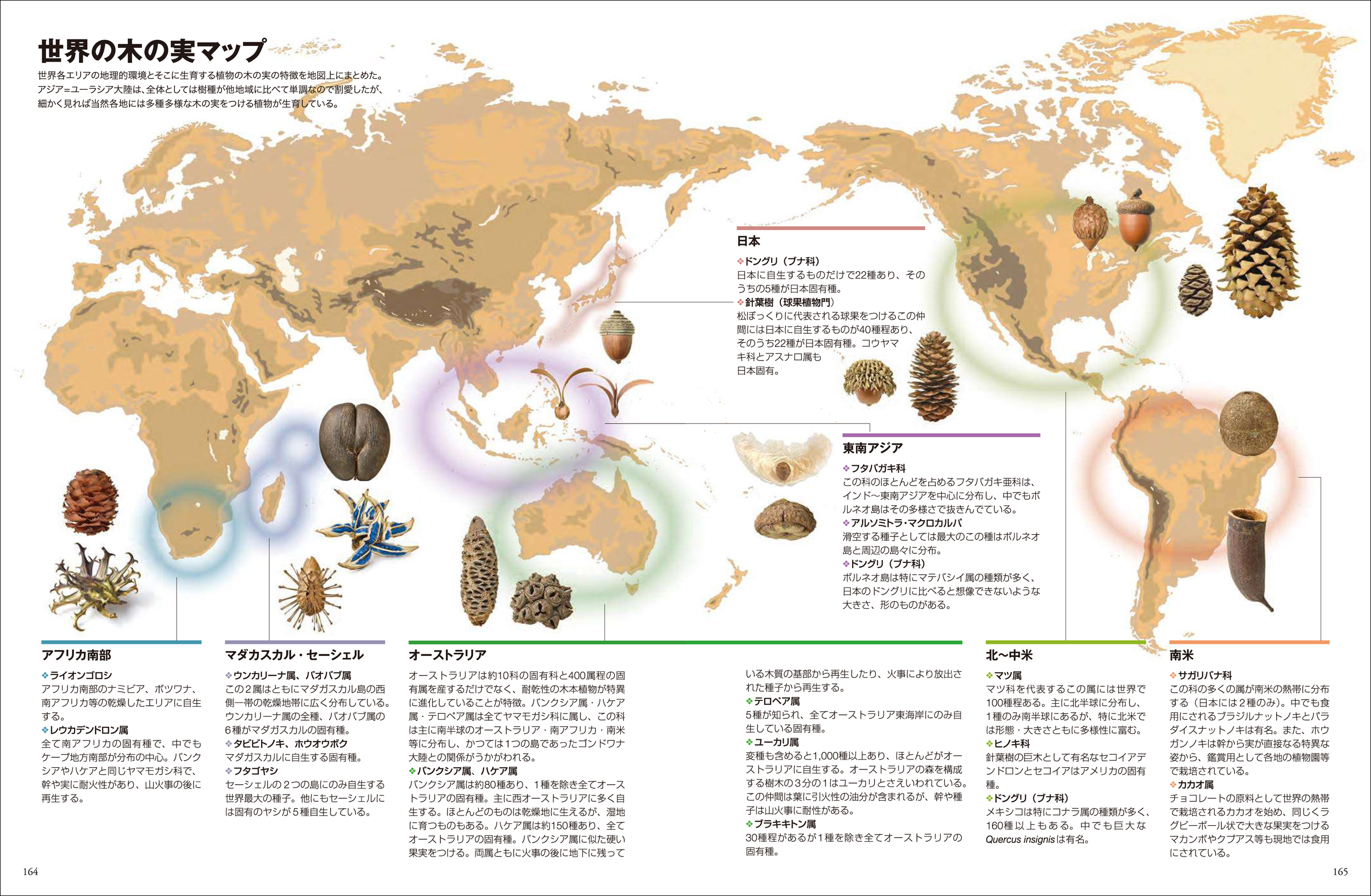 サムネイル画像5