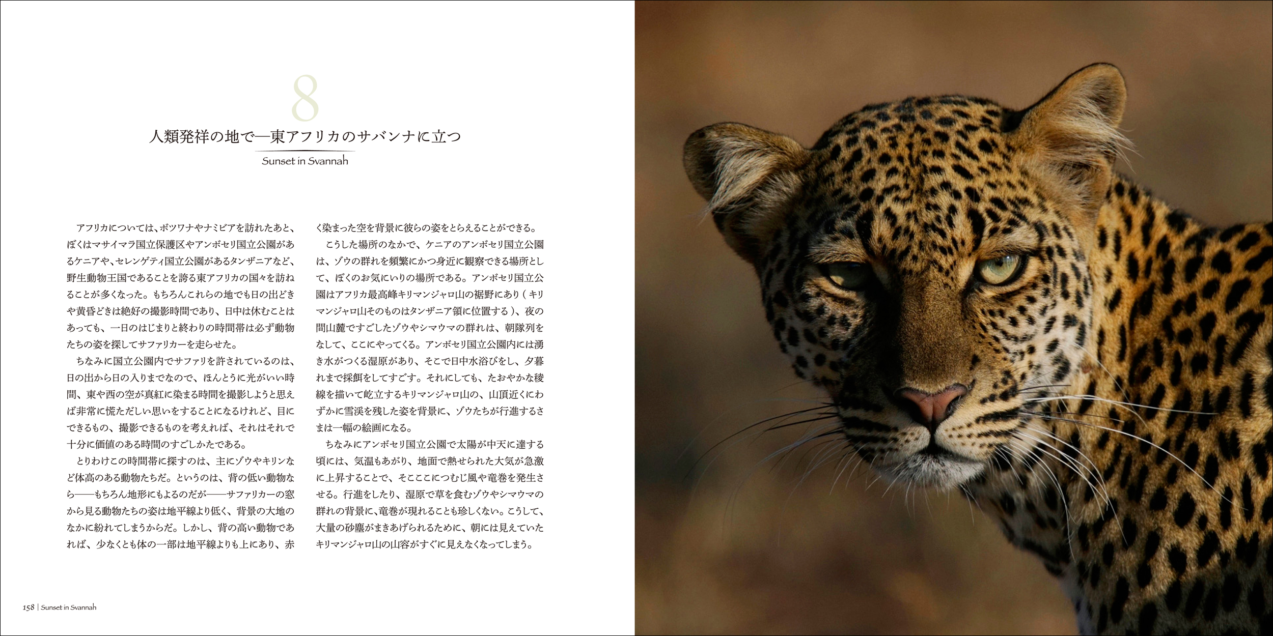 サムネイル画像4