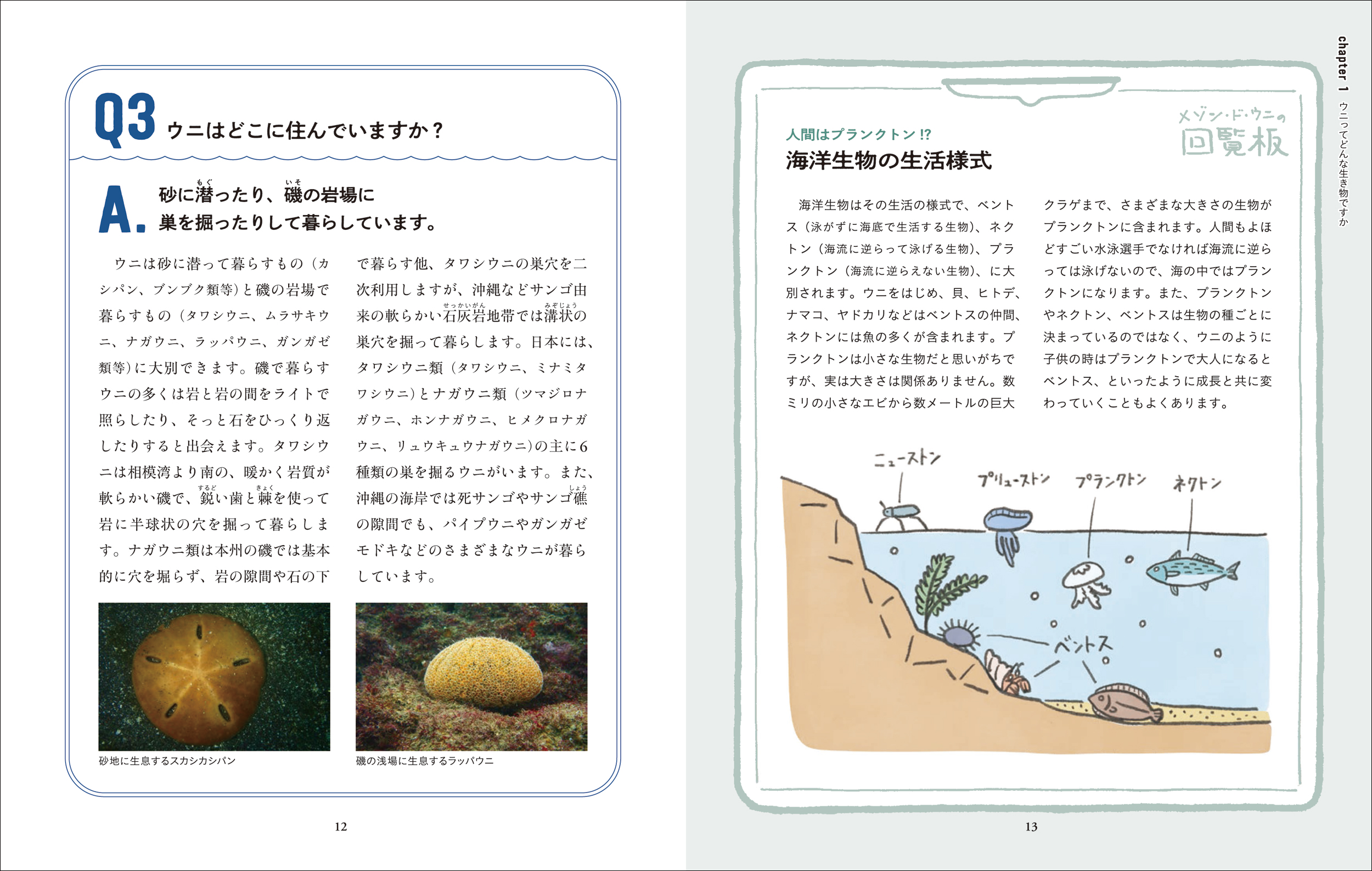 サムネイル画像1