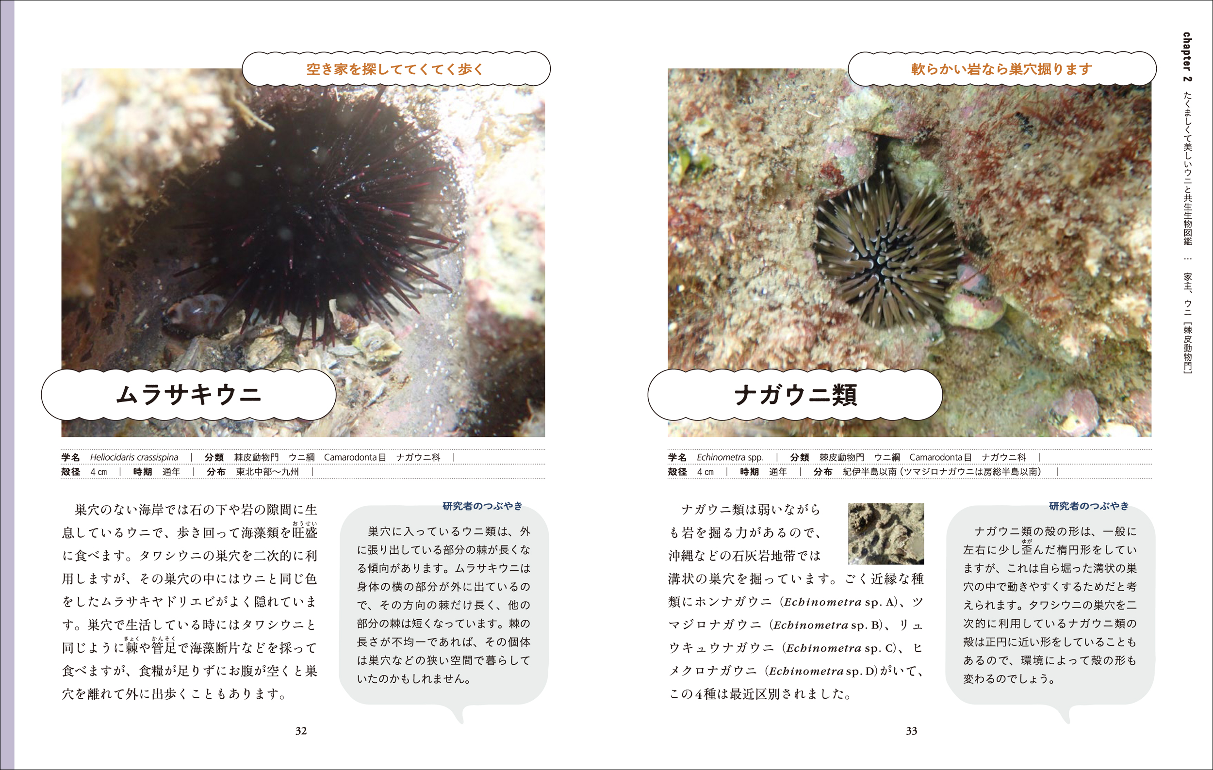 サムネイル画像2