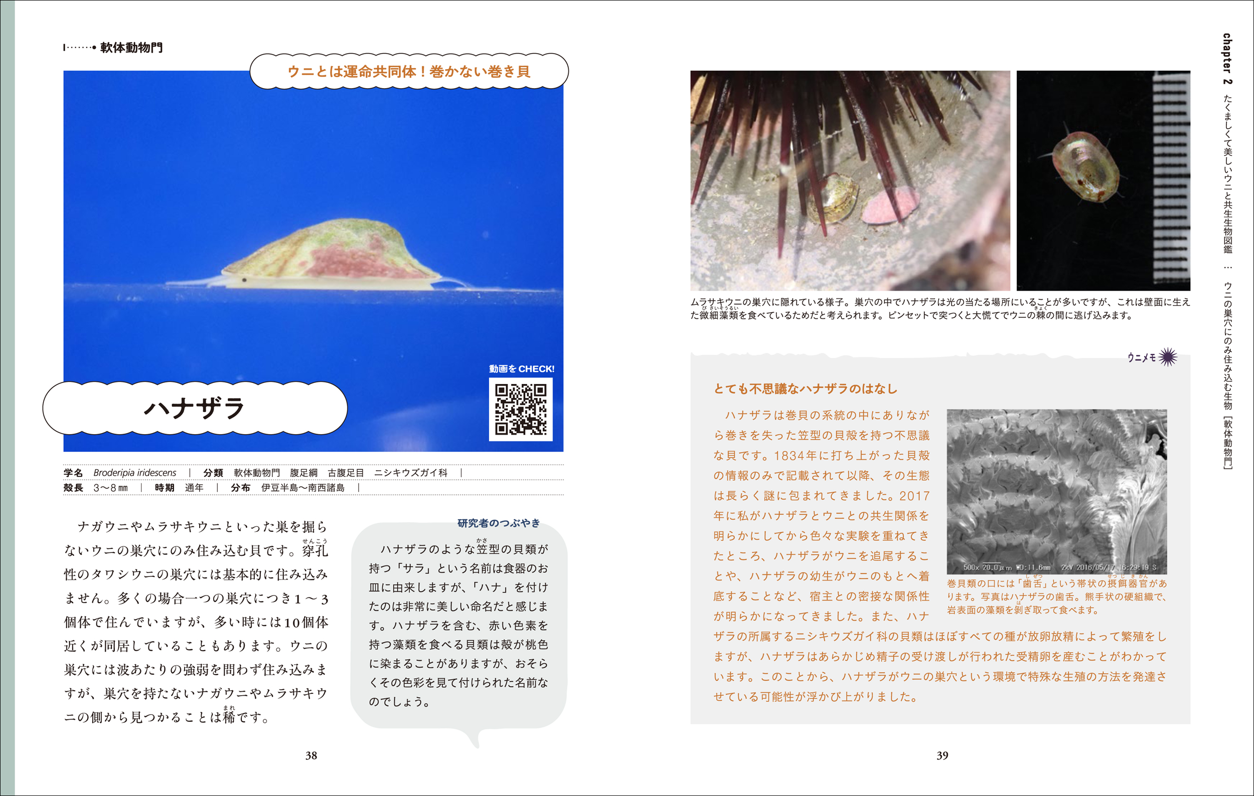 サムネイル画像3