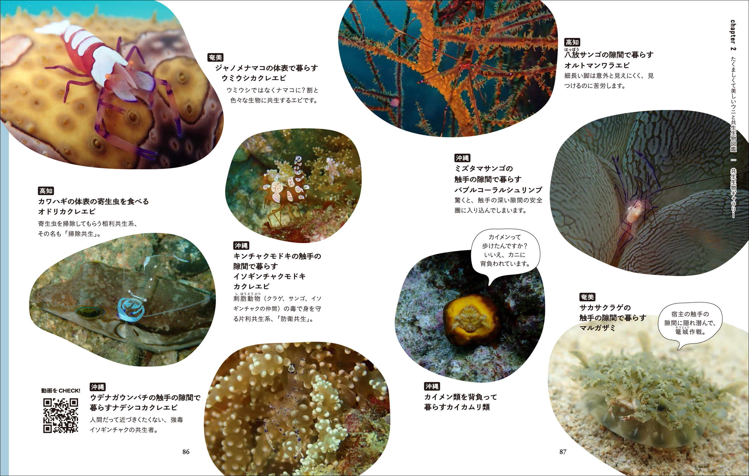 サムネイル画像4