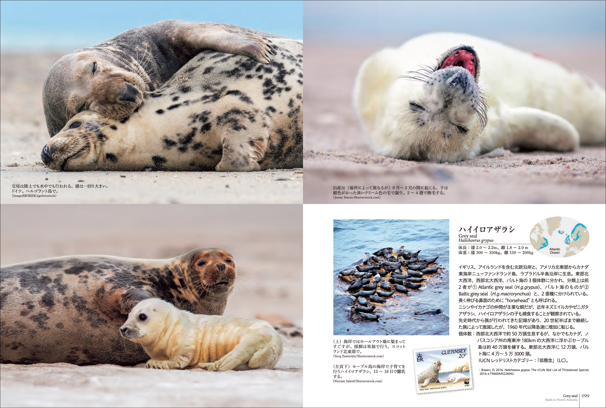サムネイル画像2
