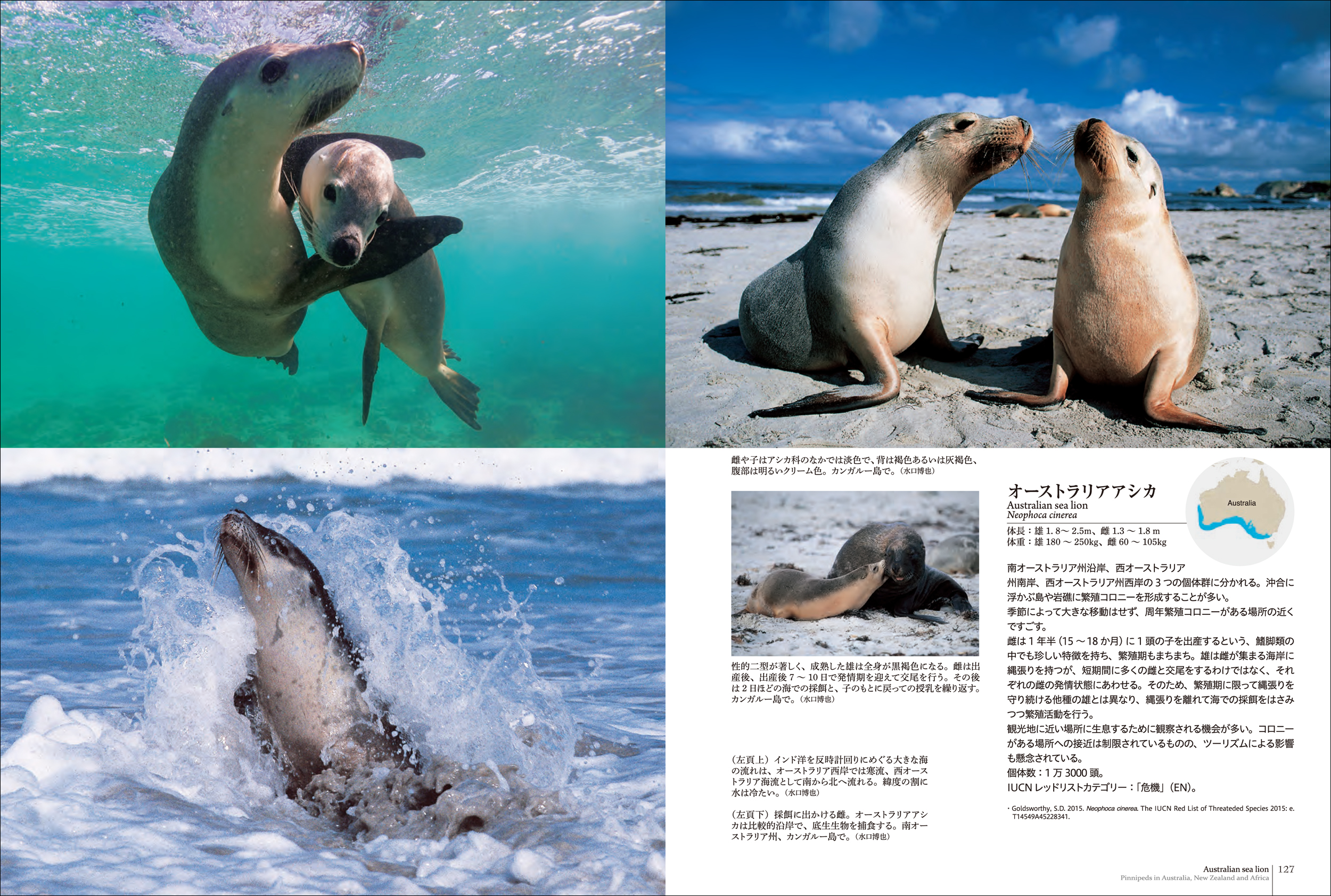 サムネイル画像4