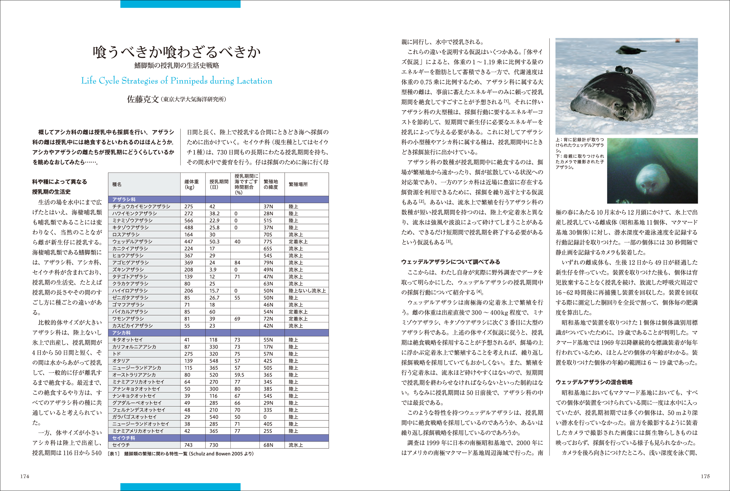 サムネイル画像5