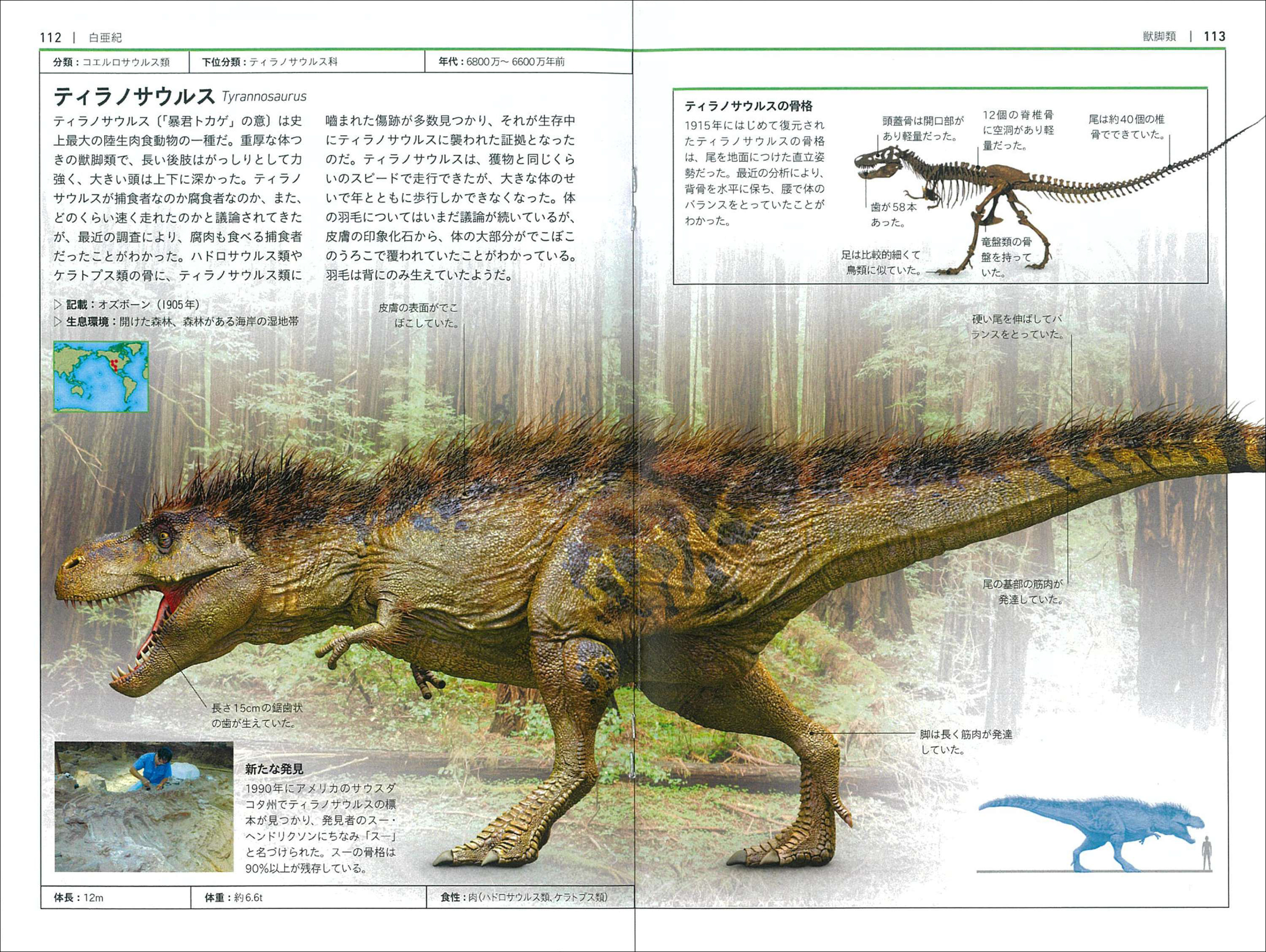 サムネイル画像3