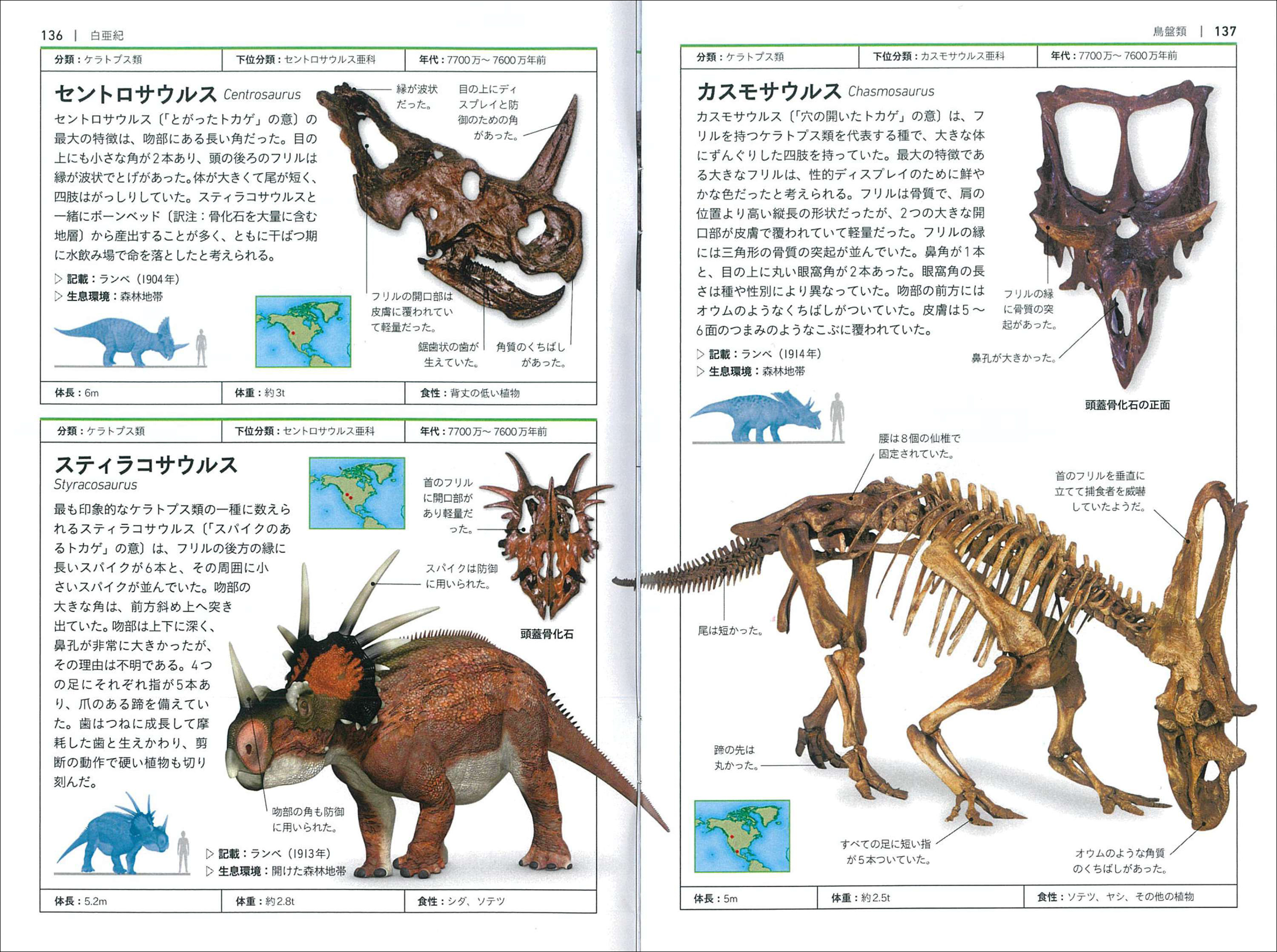 サムネイル画像4