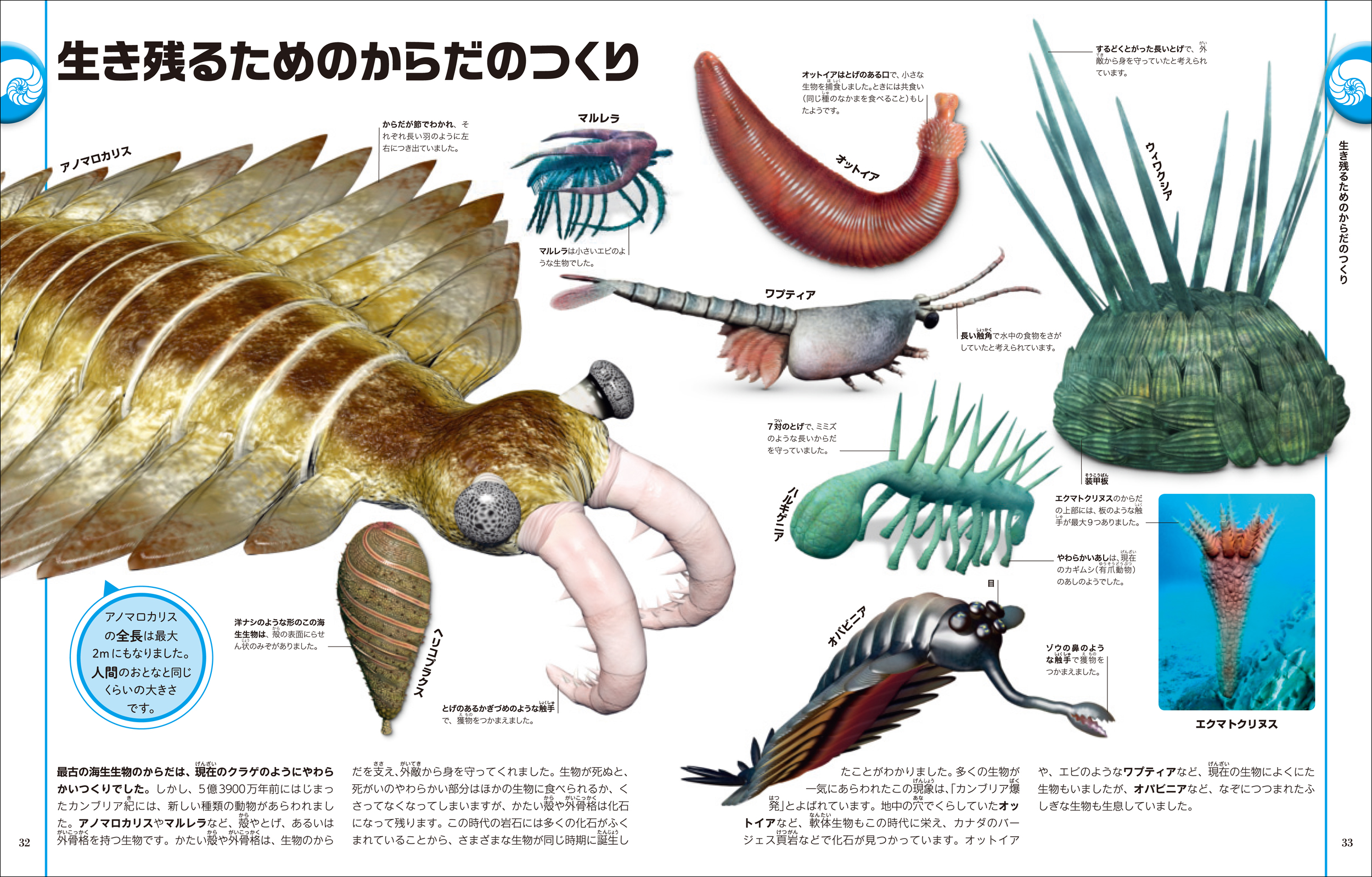 サムネイル画像2