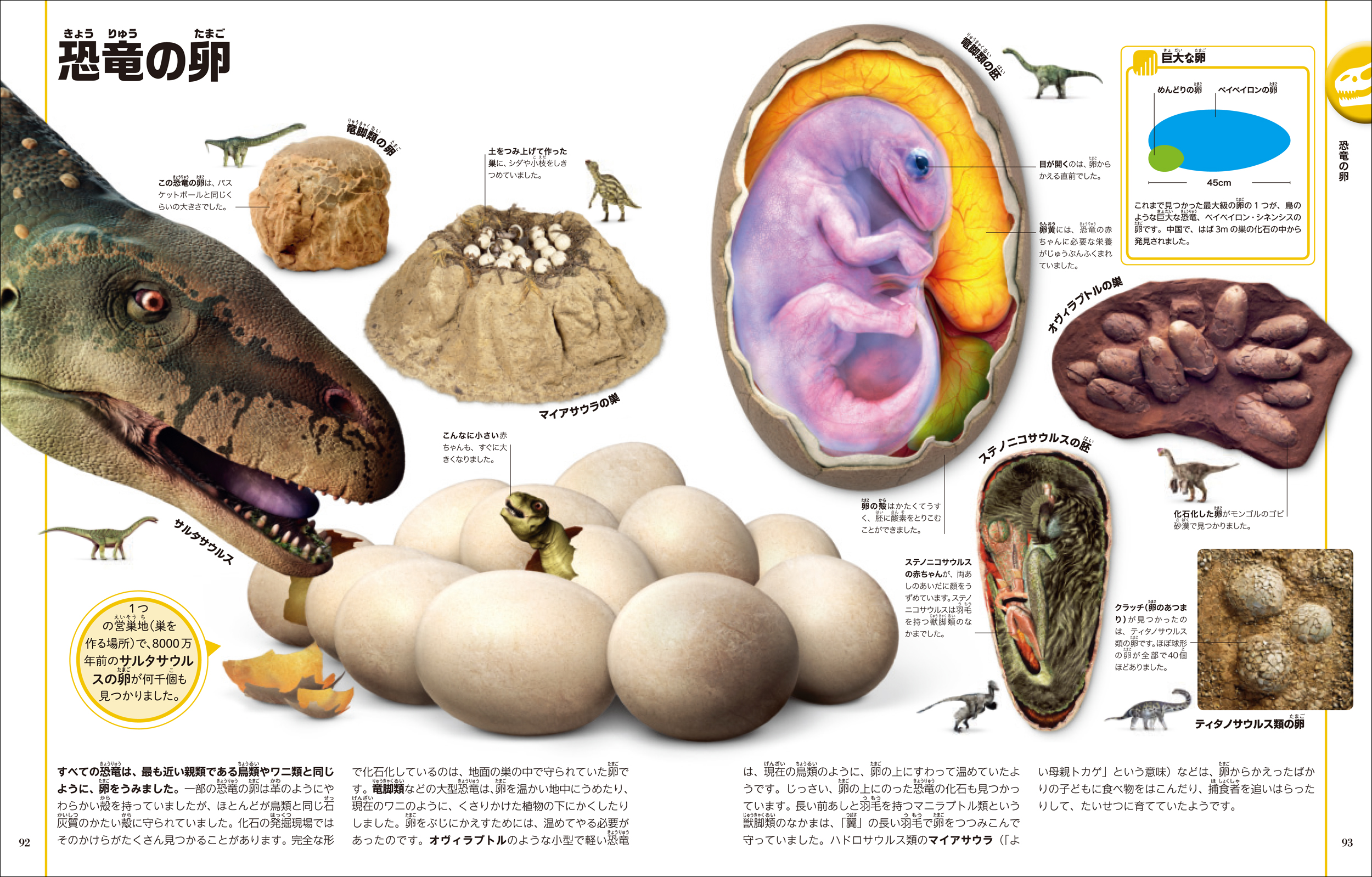 サムネイル画像3