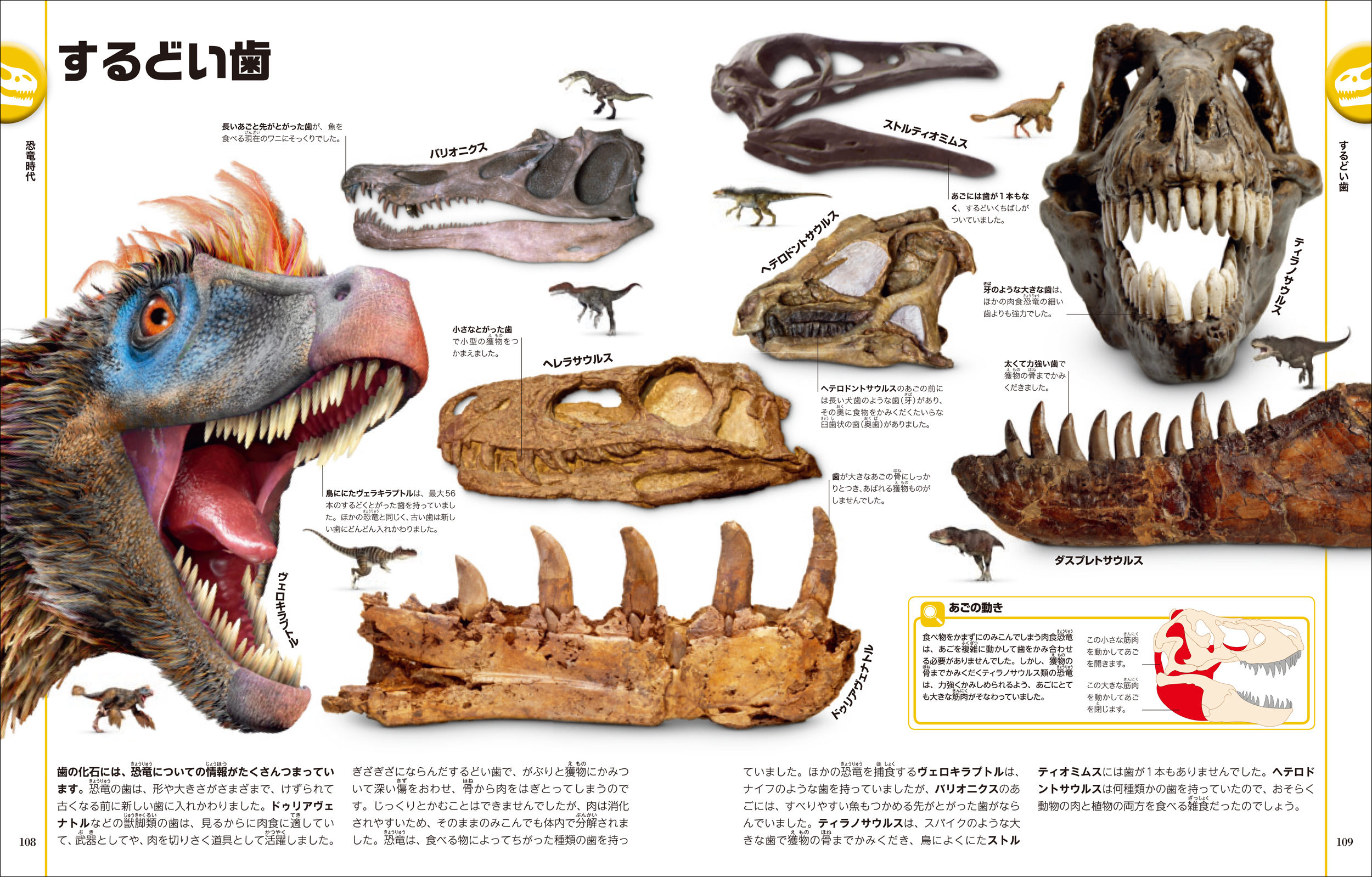 サムネイル画像4
