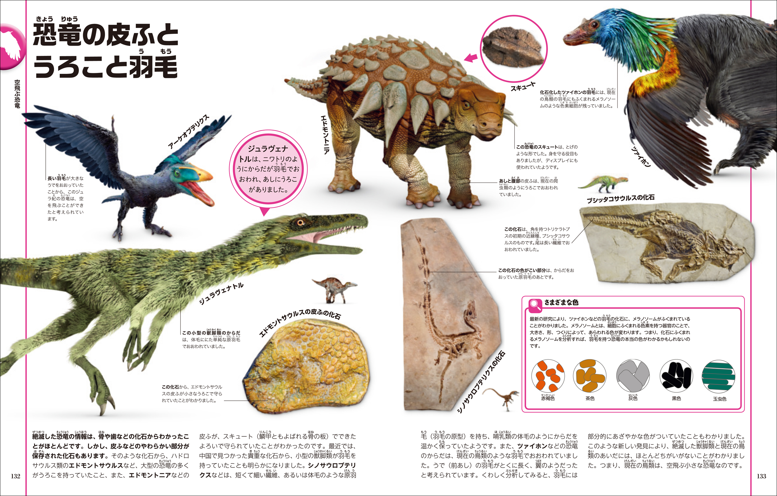 サムネイル画像5