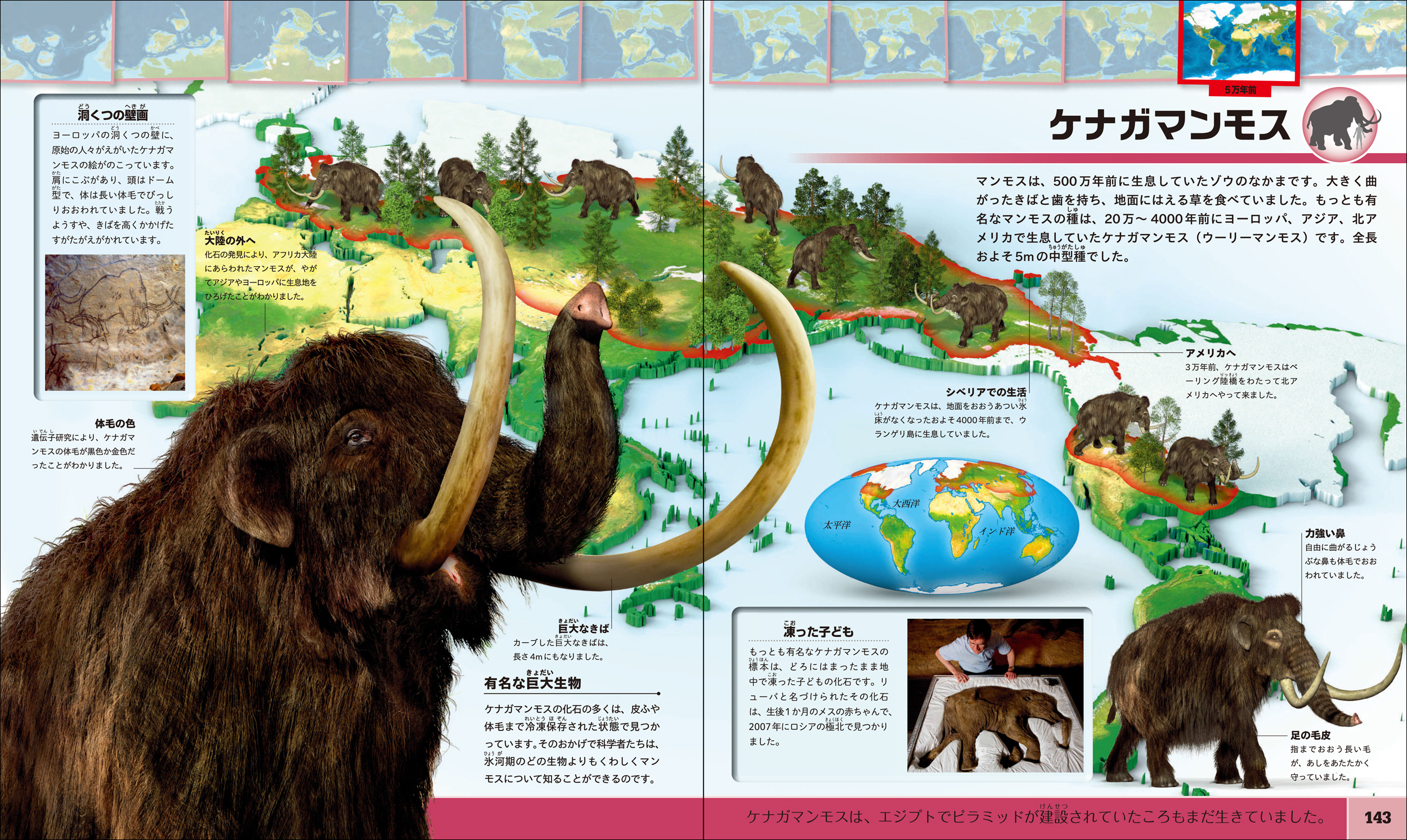 サムネイル画像5