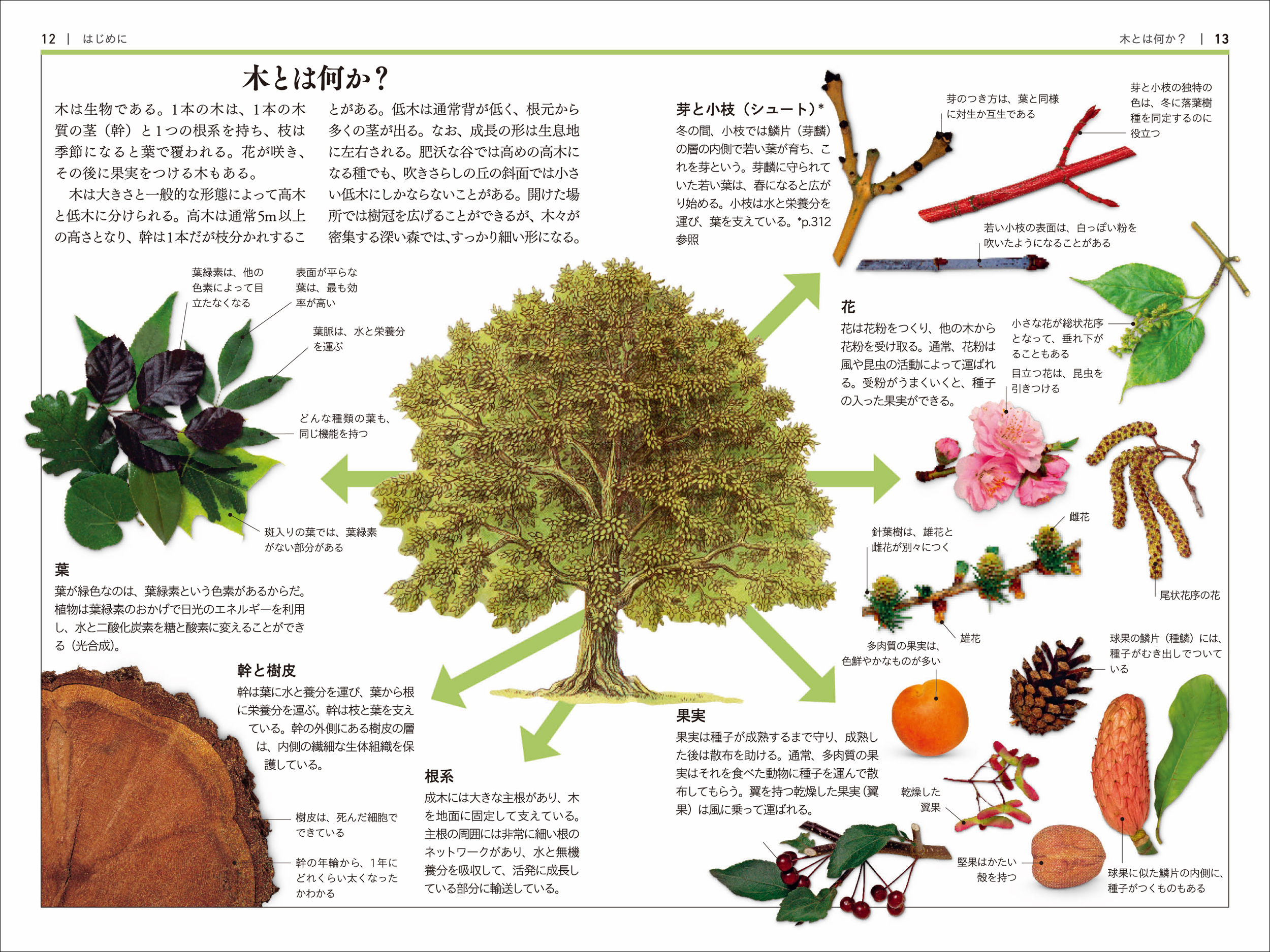 サムネイル画像1