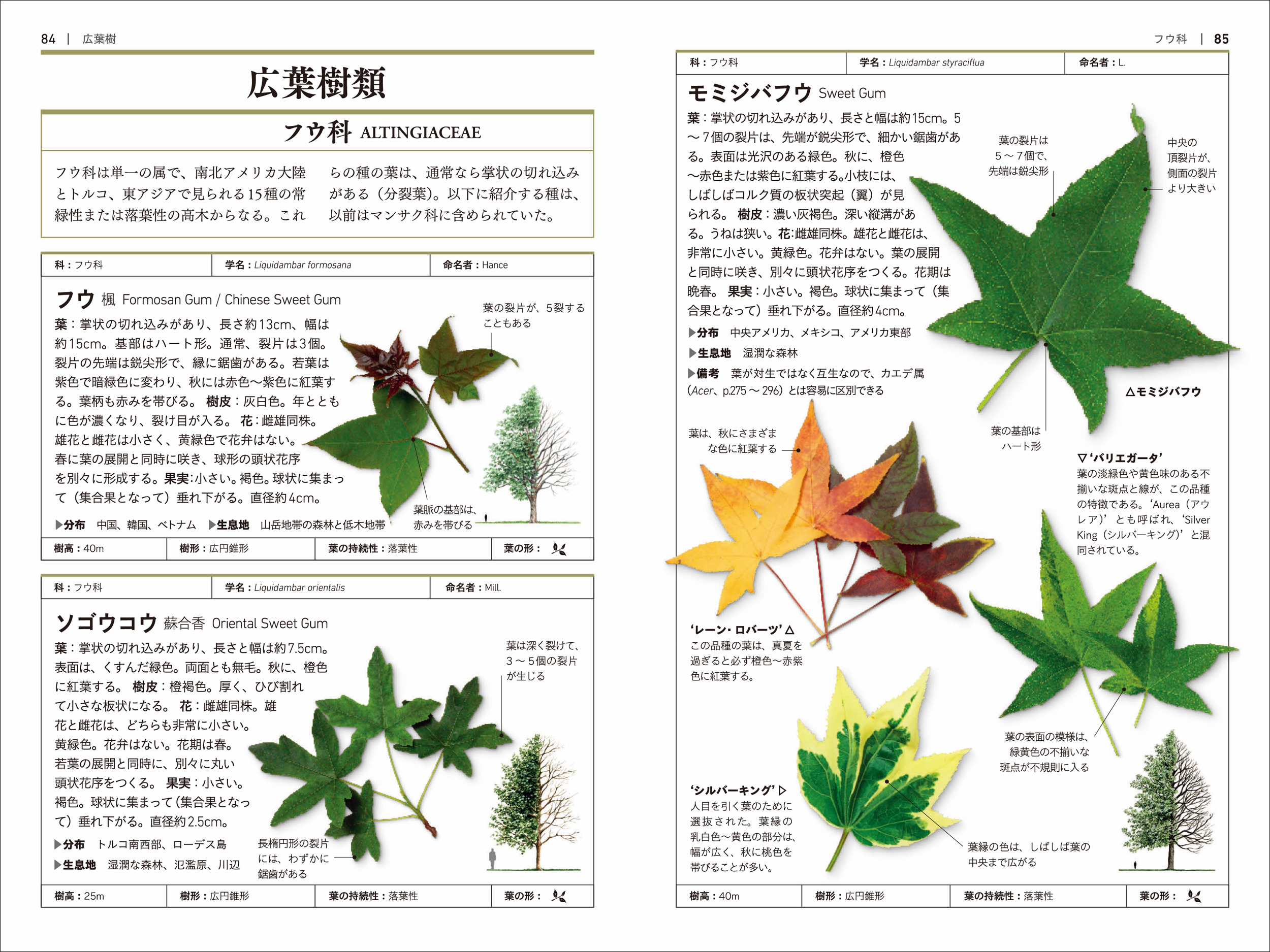 サムネイル画像3