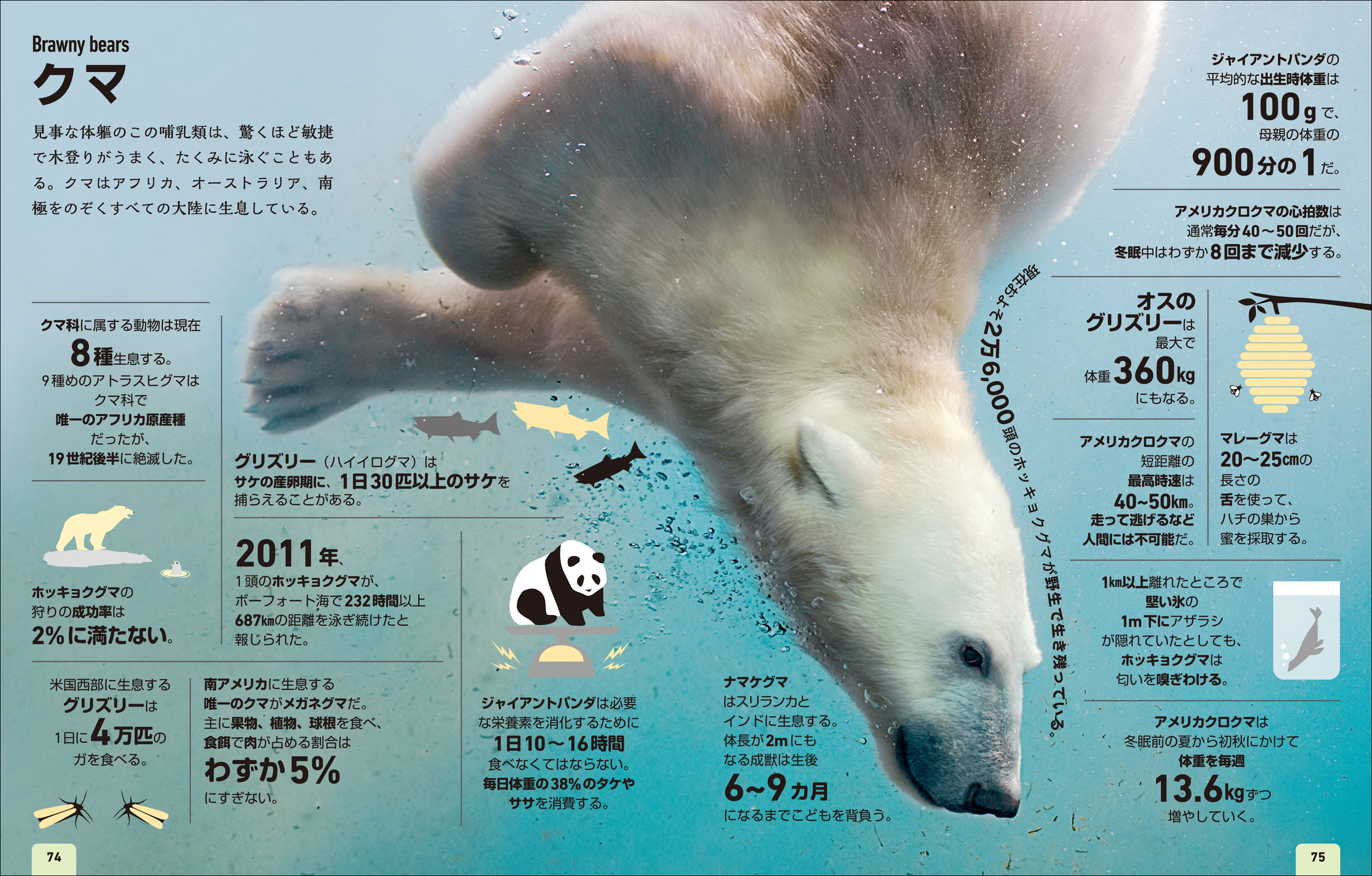 サムネイル画像2