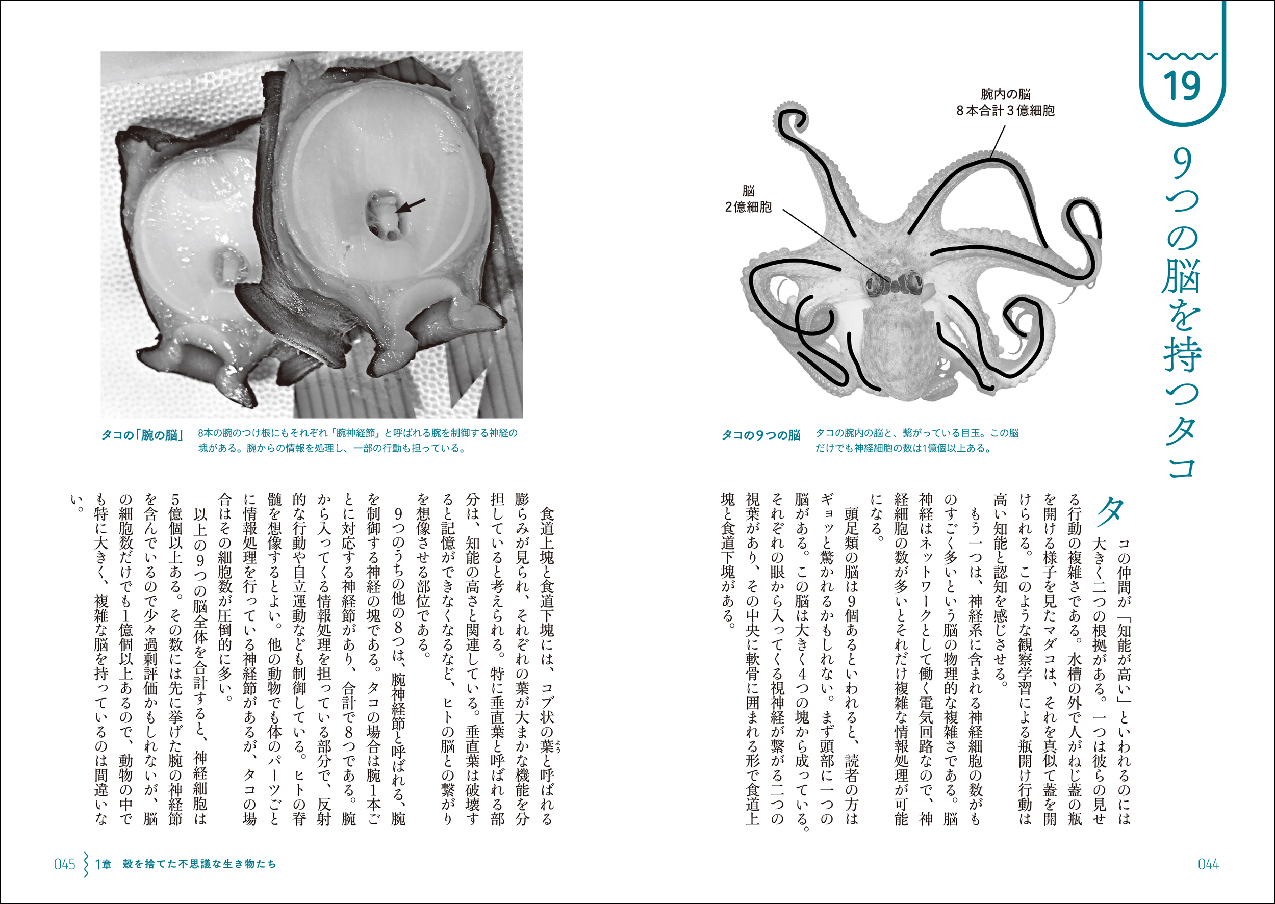 サムネイル画像4