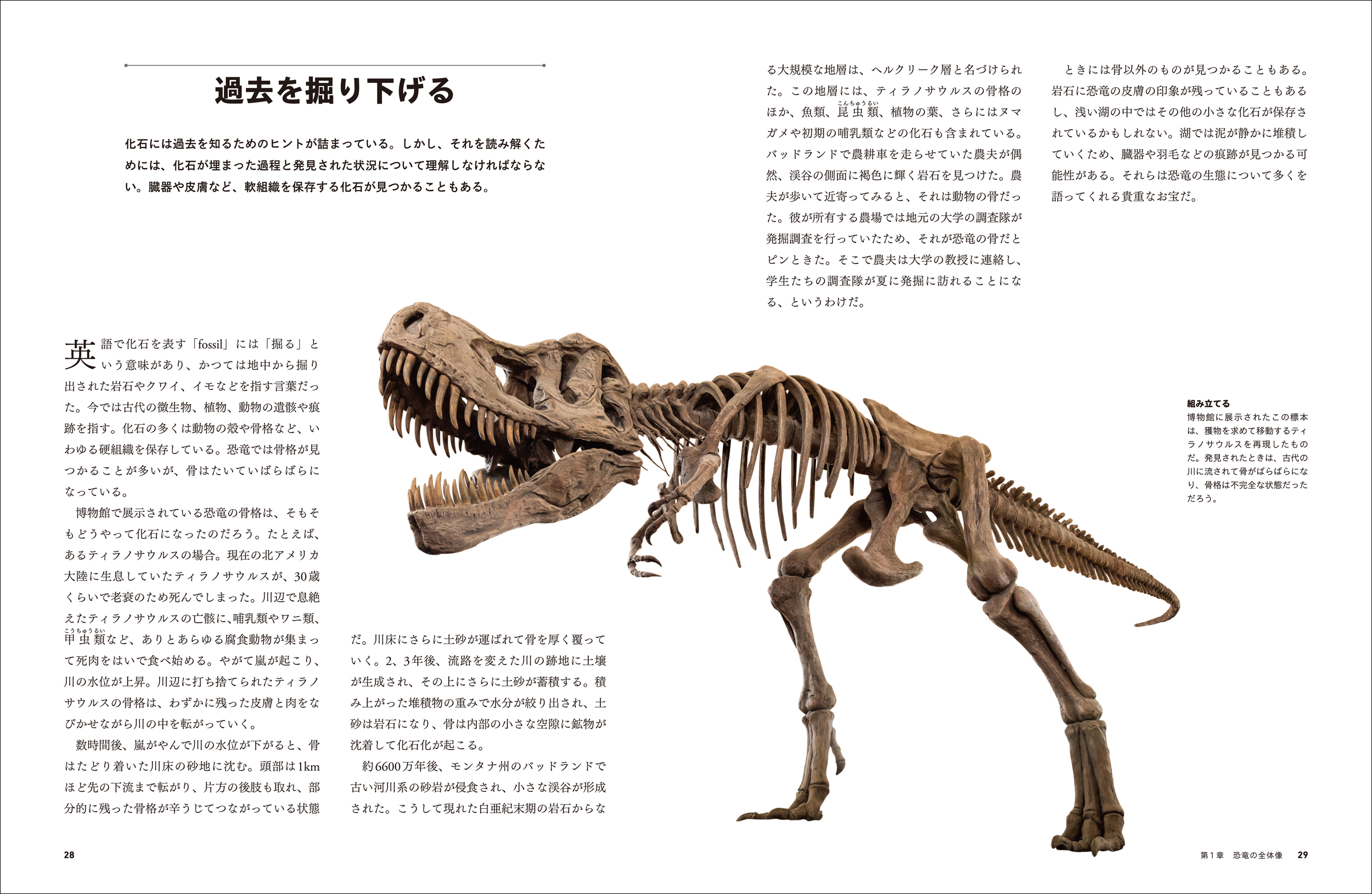 サムネイル画像2