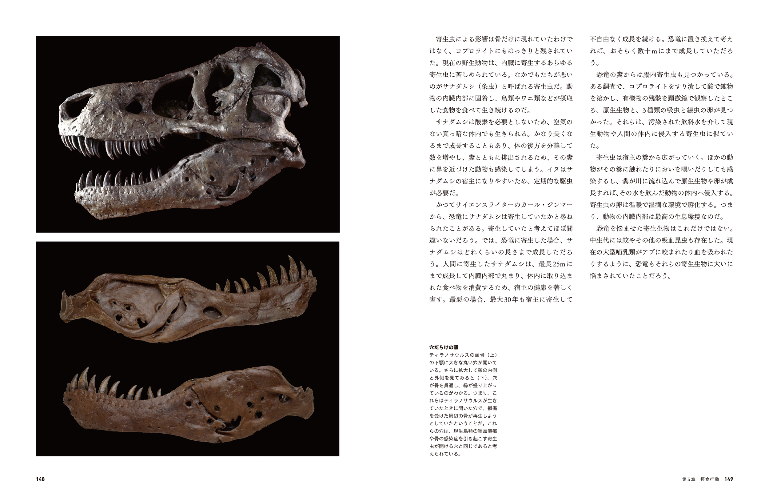 サムネイル画像4