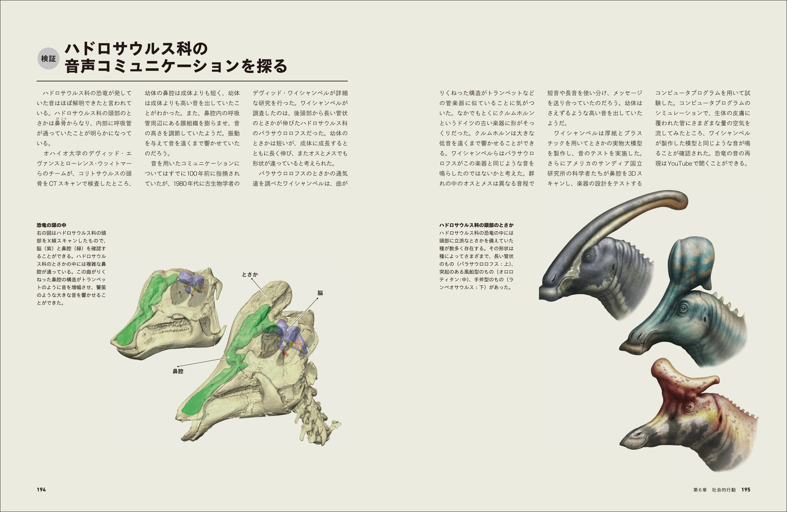 サムネイル画像5