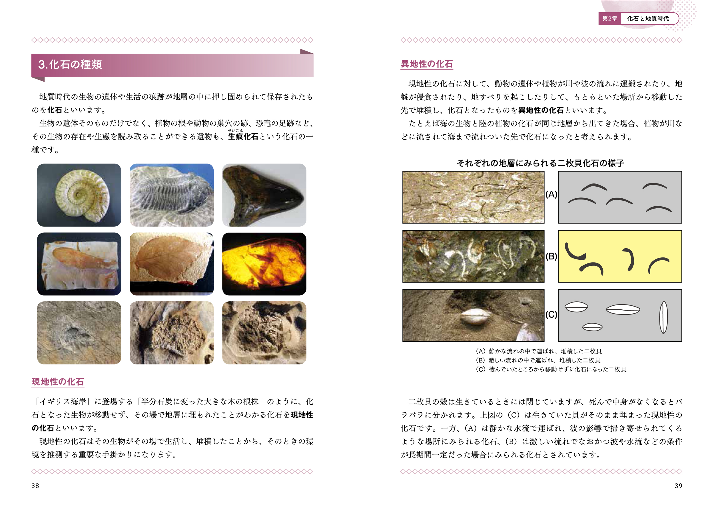 サムネイル画像2