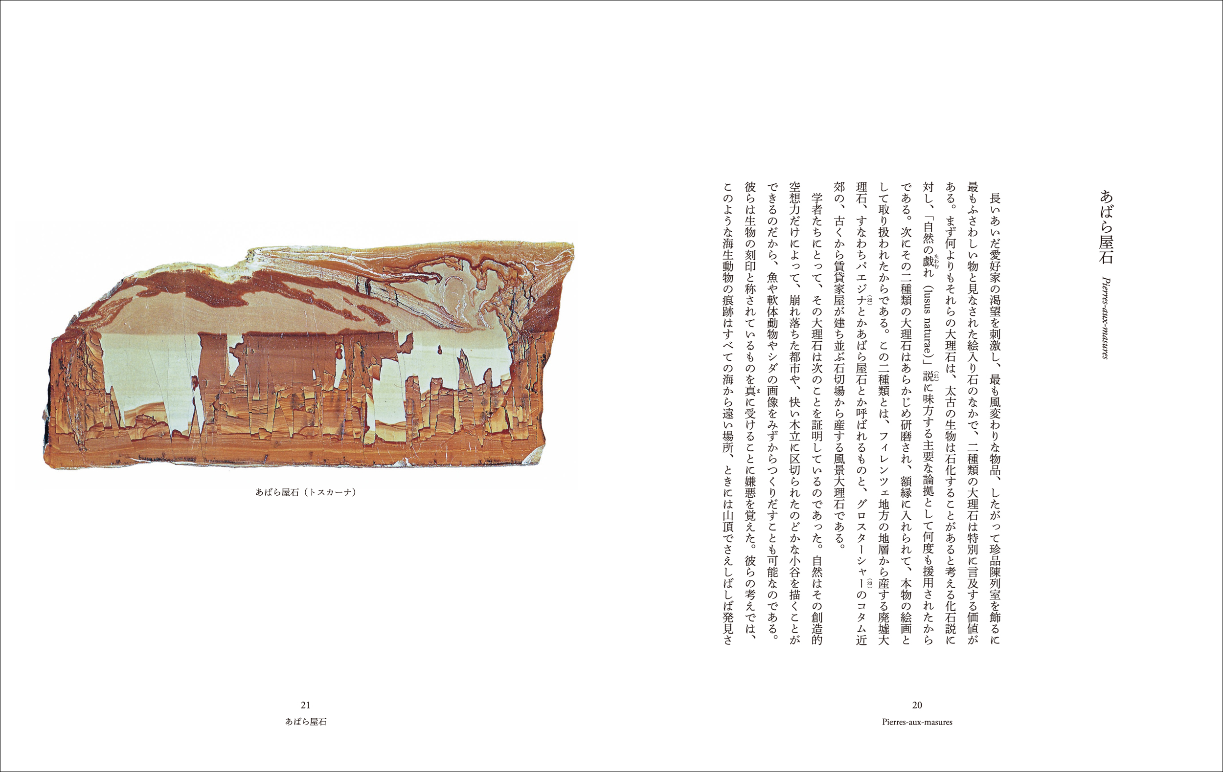 サムネイル画像5