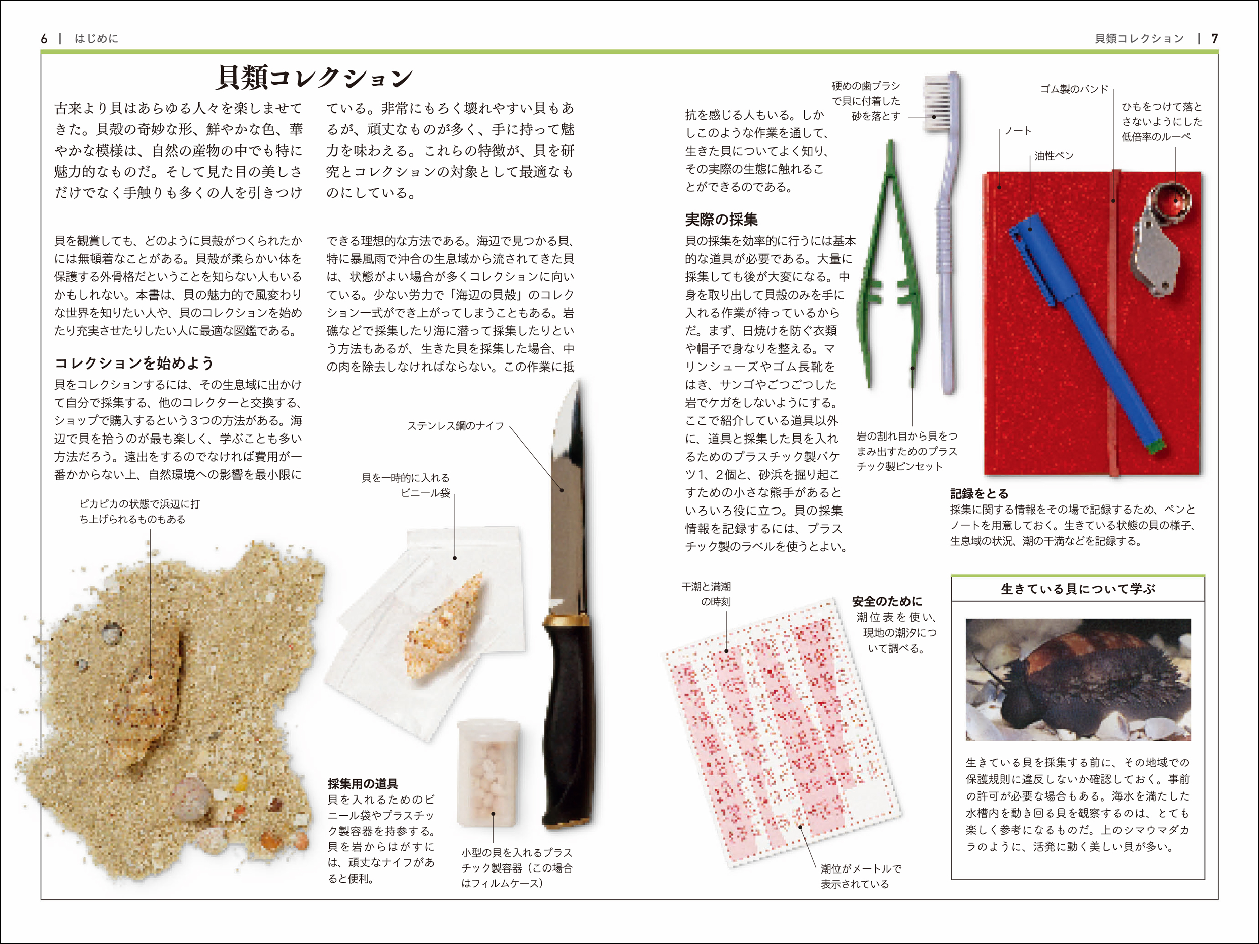 サムネイル画像1