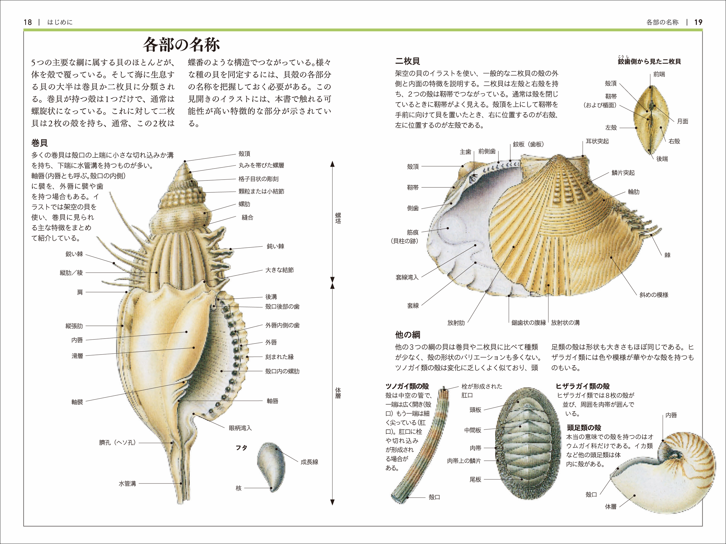 サムネイル画像2