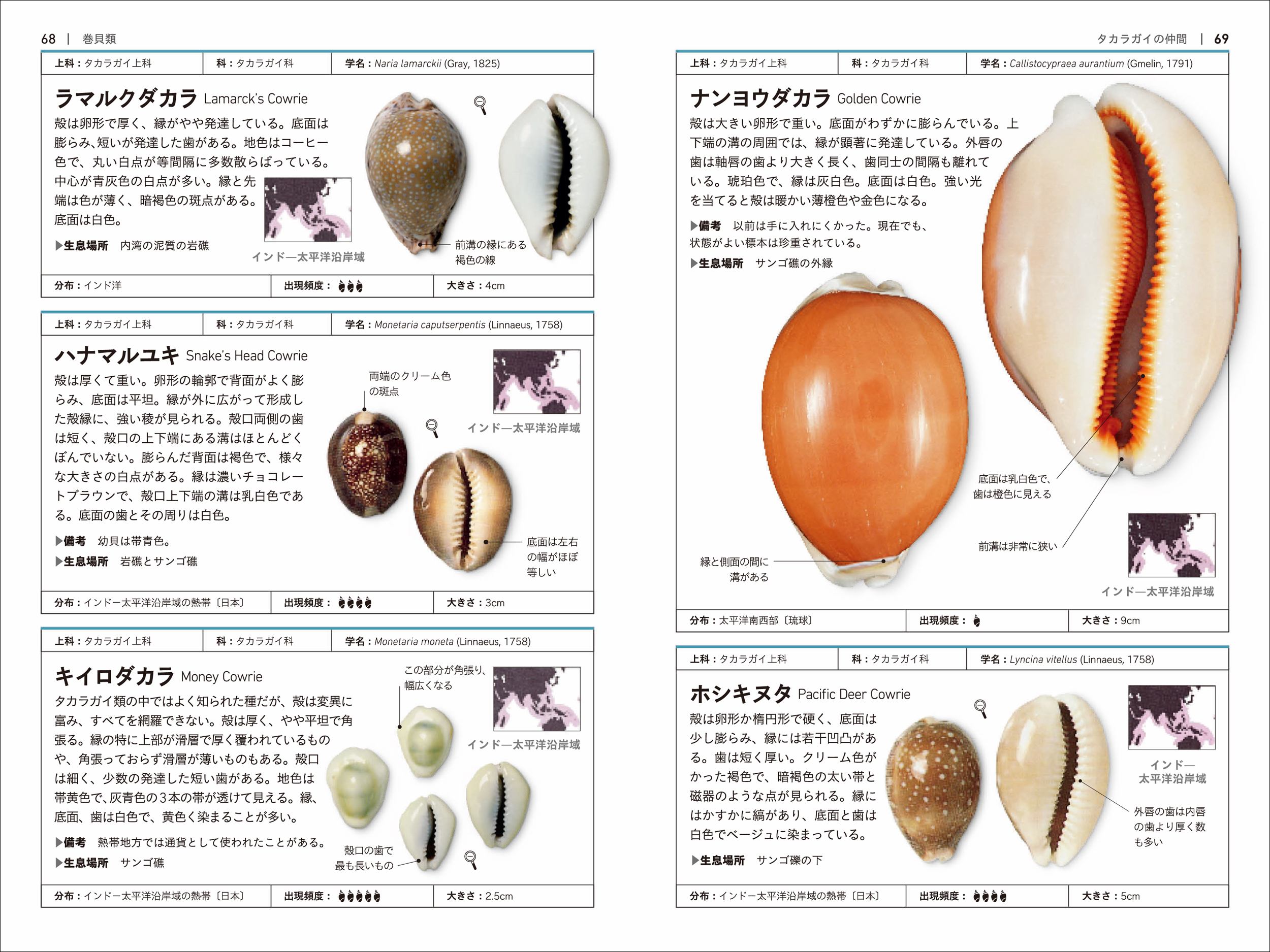 サムネイル画像4