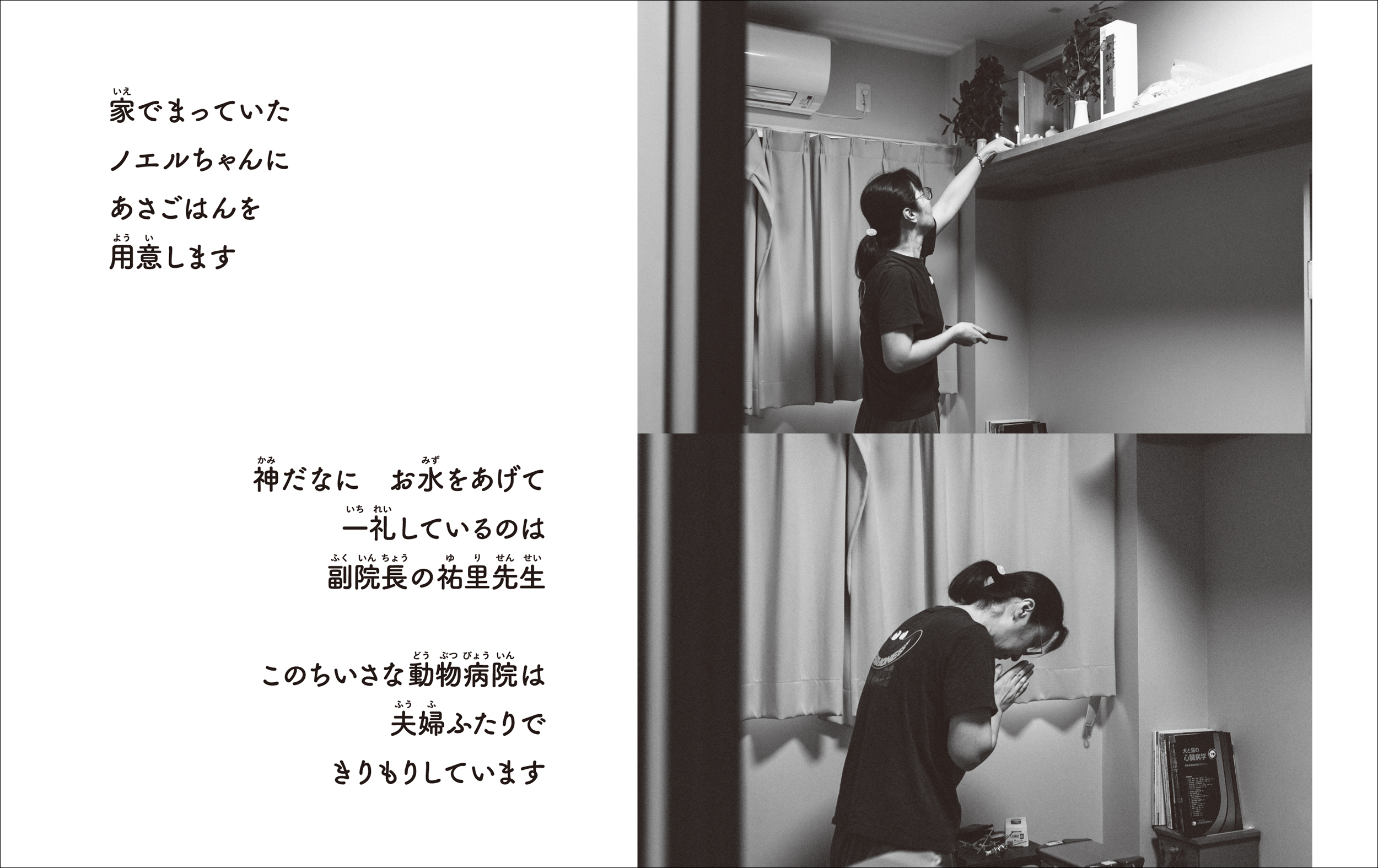 サムネイル画像4