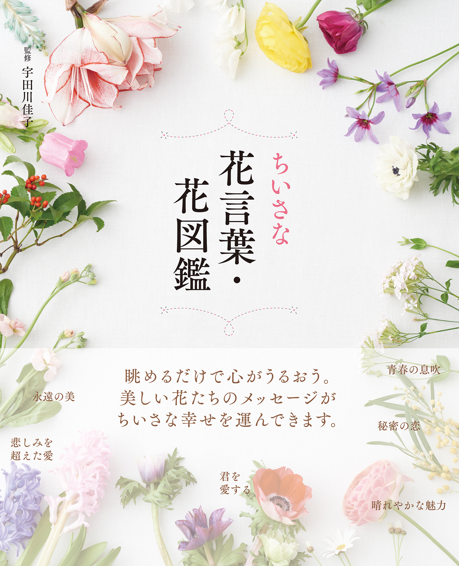 決定版　自然大図鑑　日本の花 牧野原色図鑑がとてもおすすめ！おすすめの資料（植物編