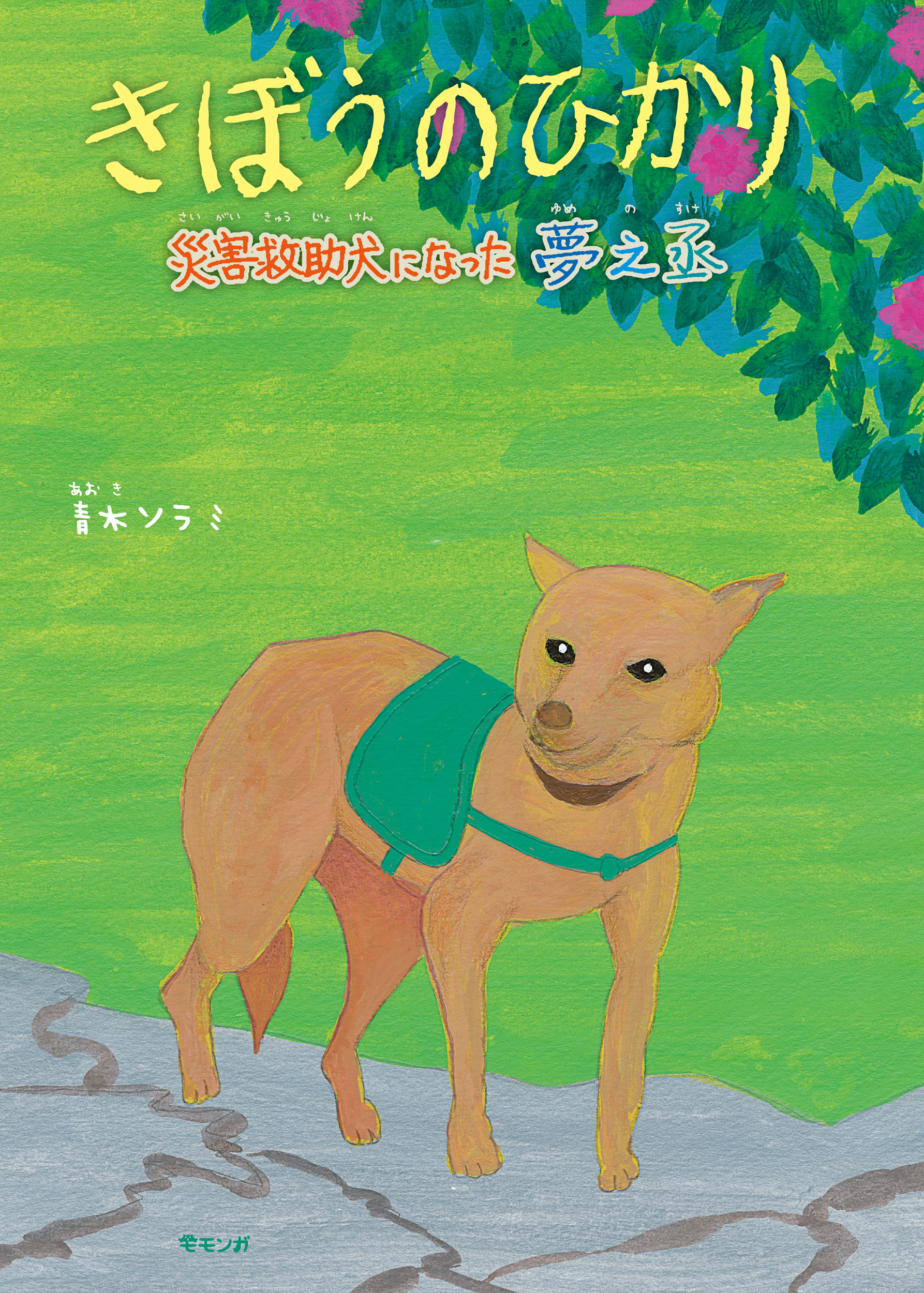 メイン画像
