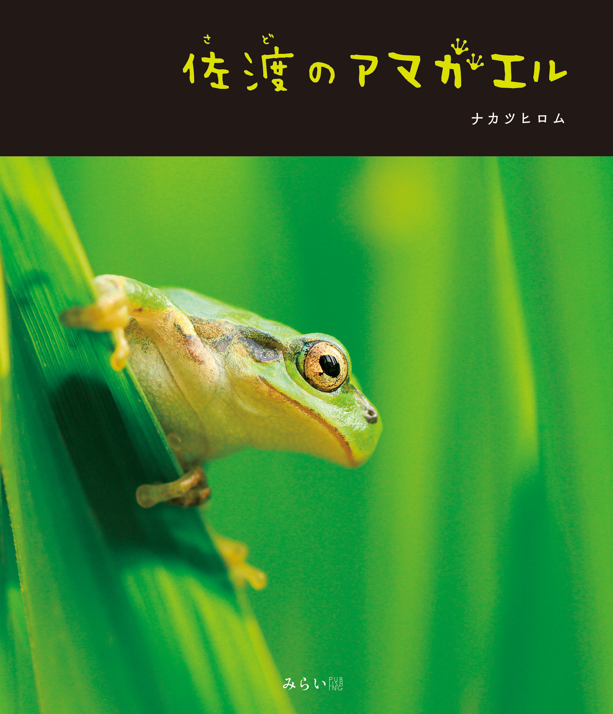 メイン画像