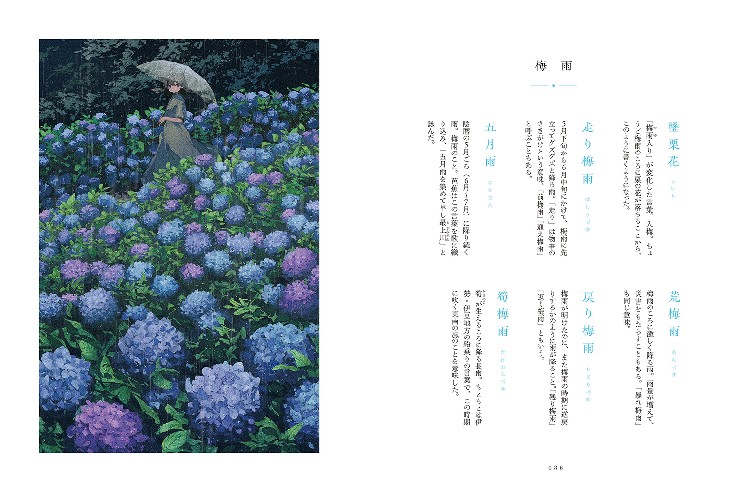 サムネイル画像5