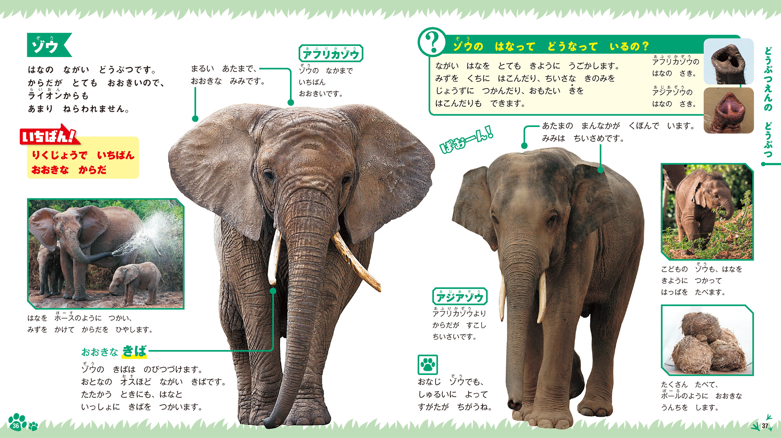 サムネイル画像1