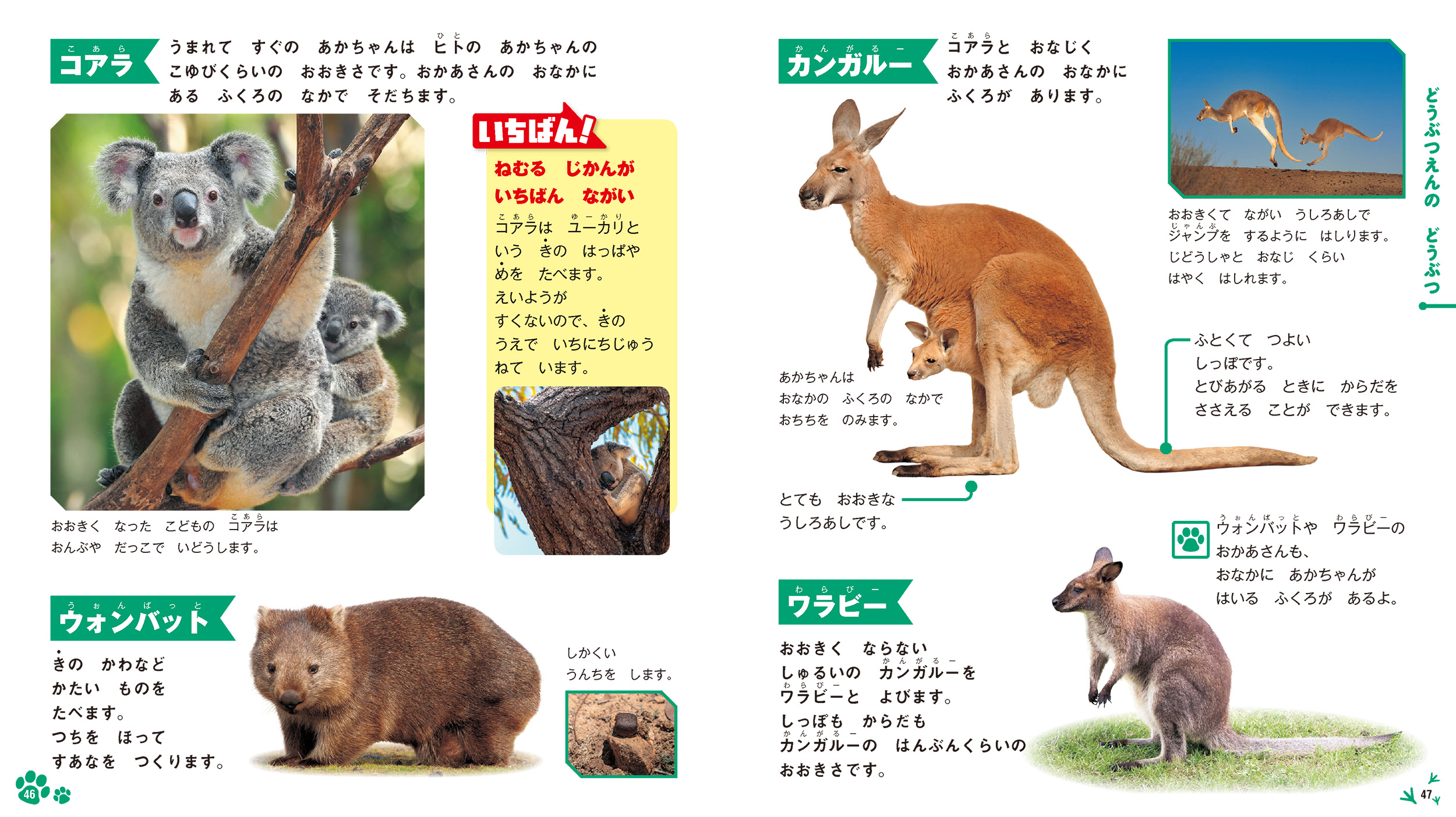 サムネイル画像2