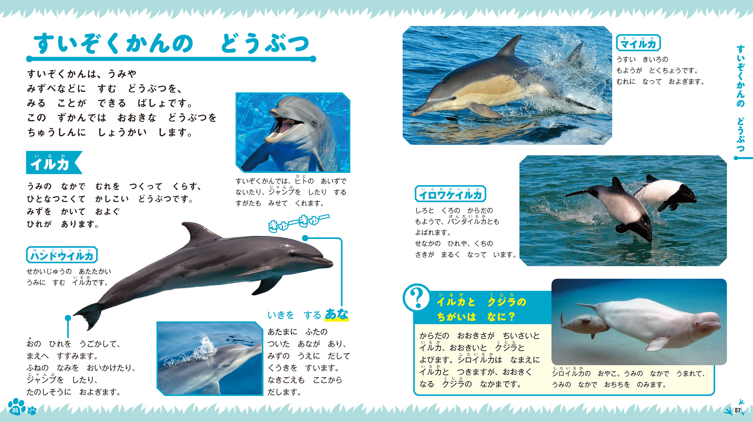 サムネイル画像4