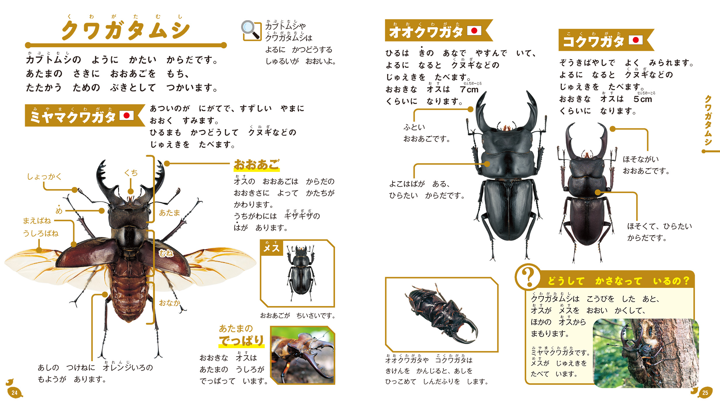 サムネイル画像2