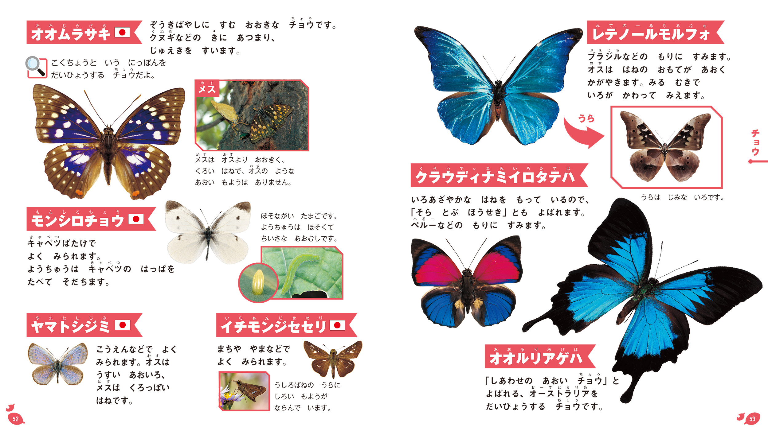 サムネイル画像3
