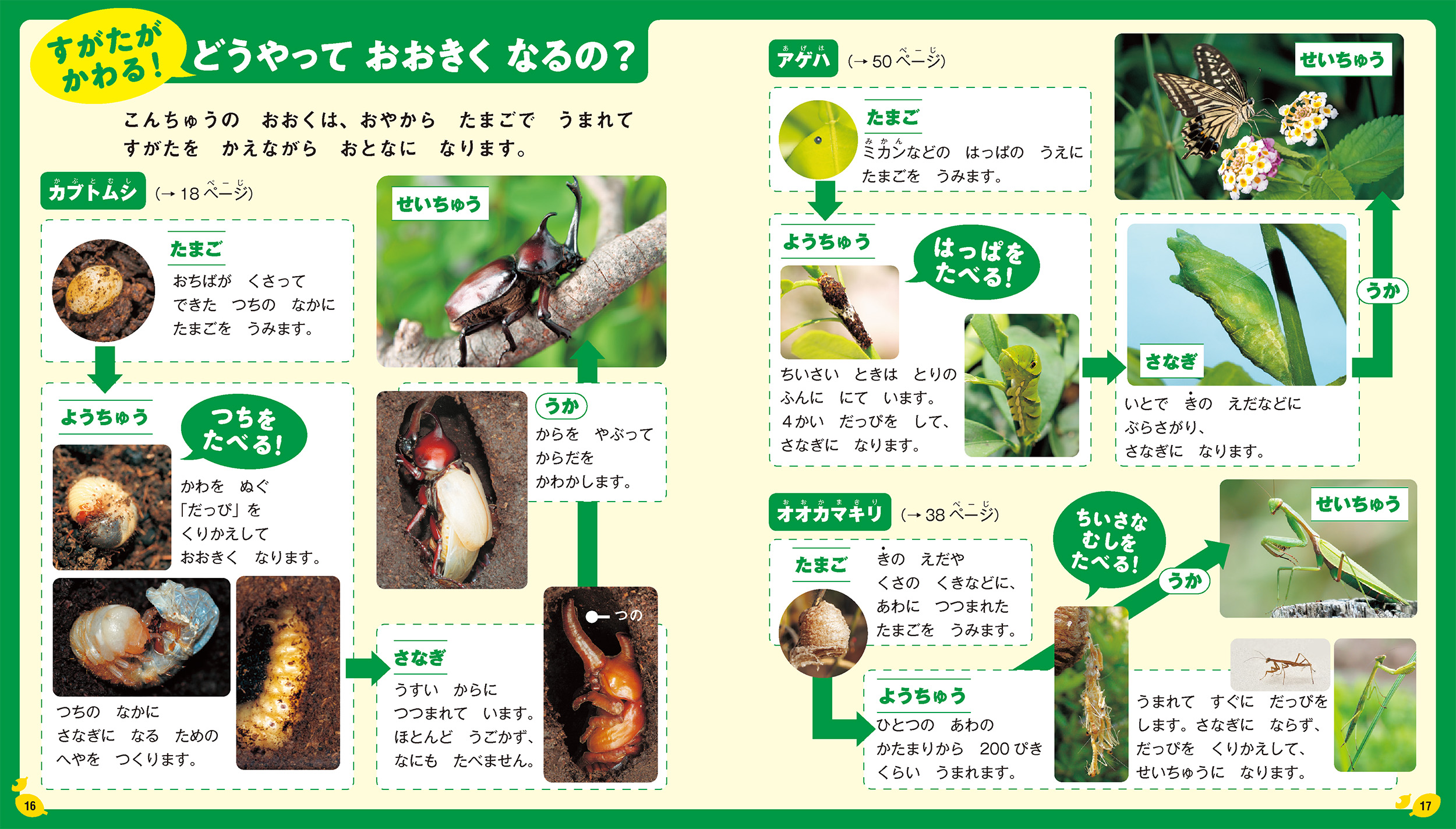サムネイル画像4