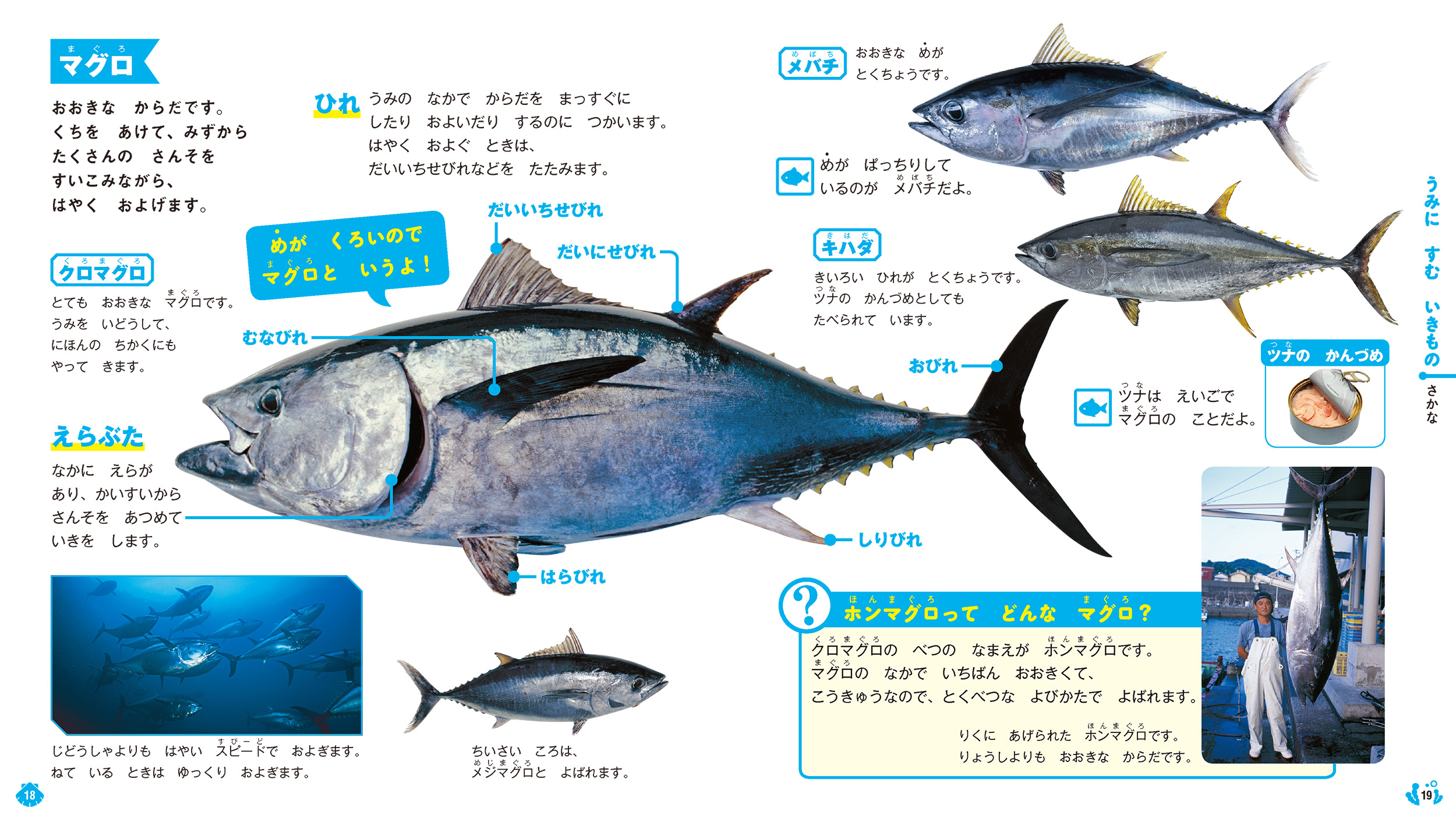 サムネイル画像2