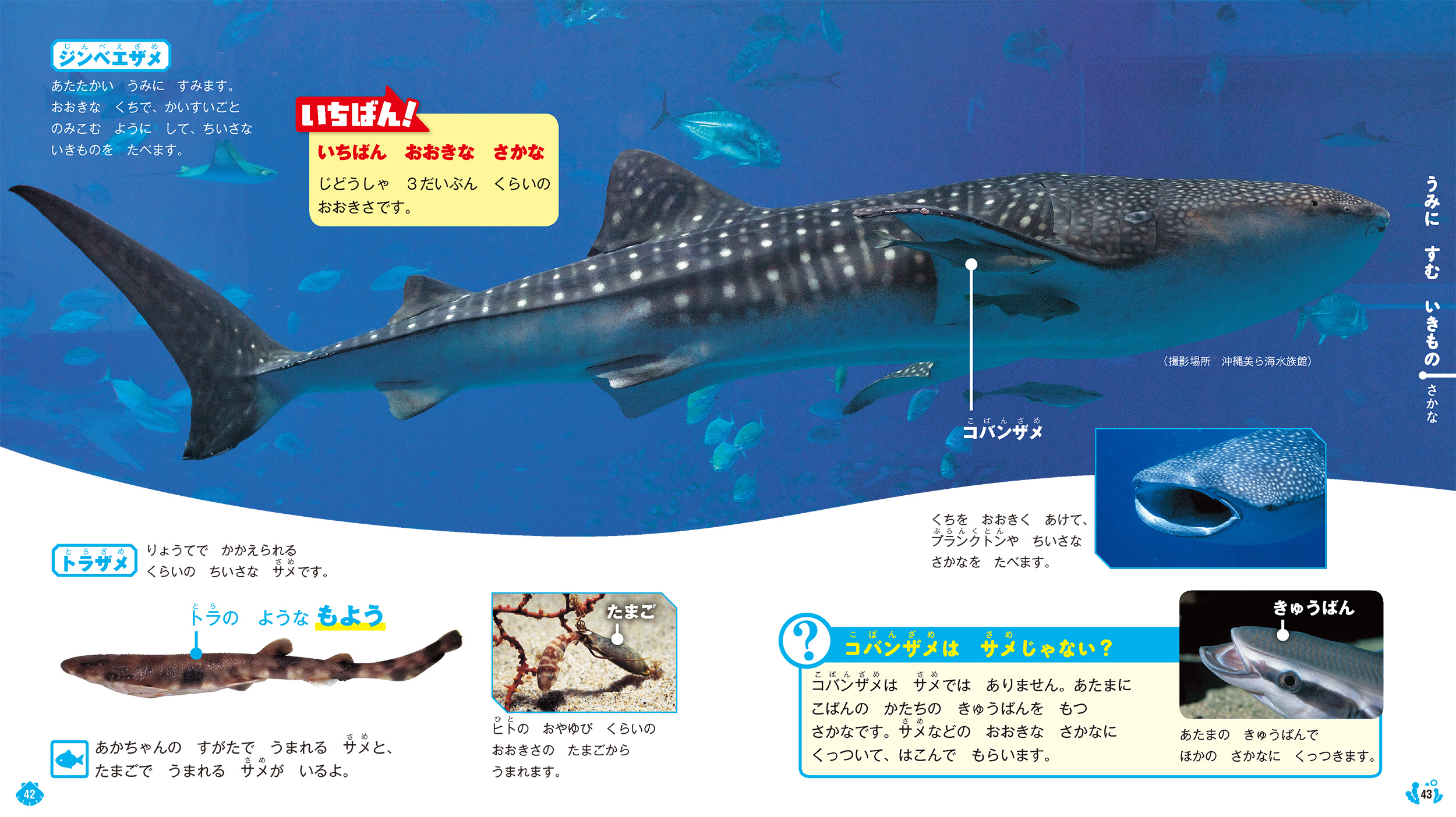 サムネイル画像3
