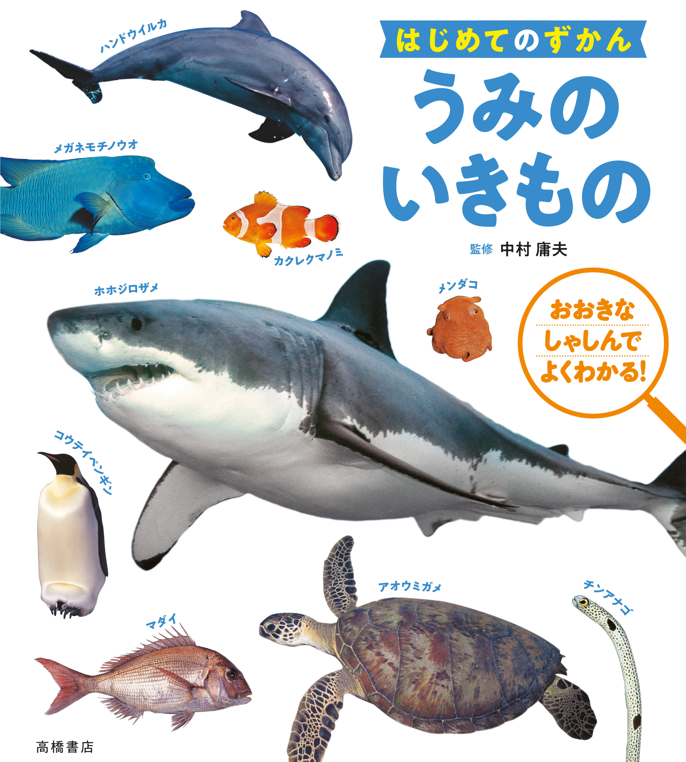 メイン画像