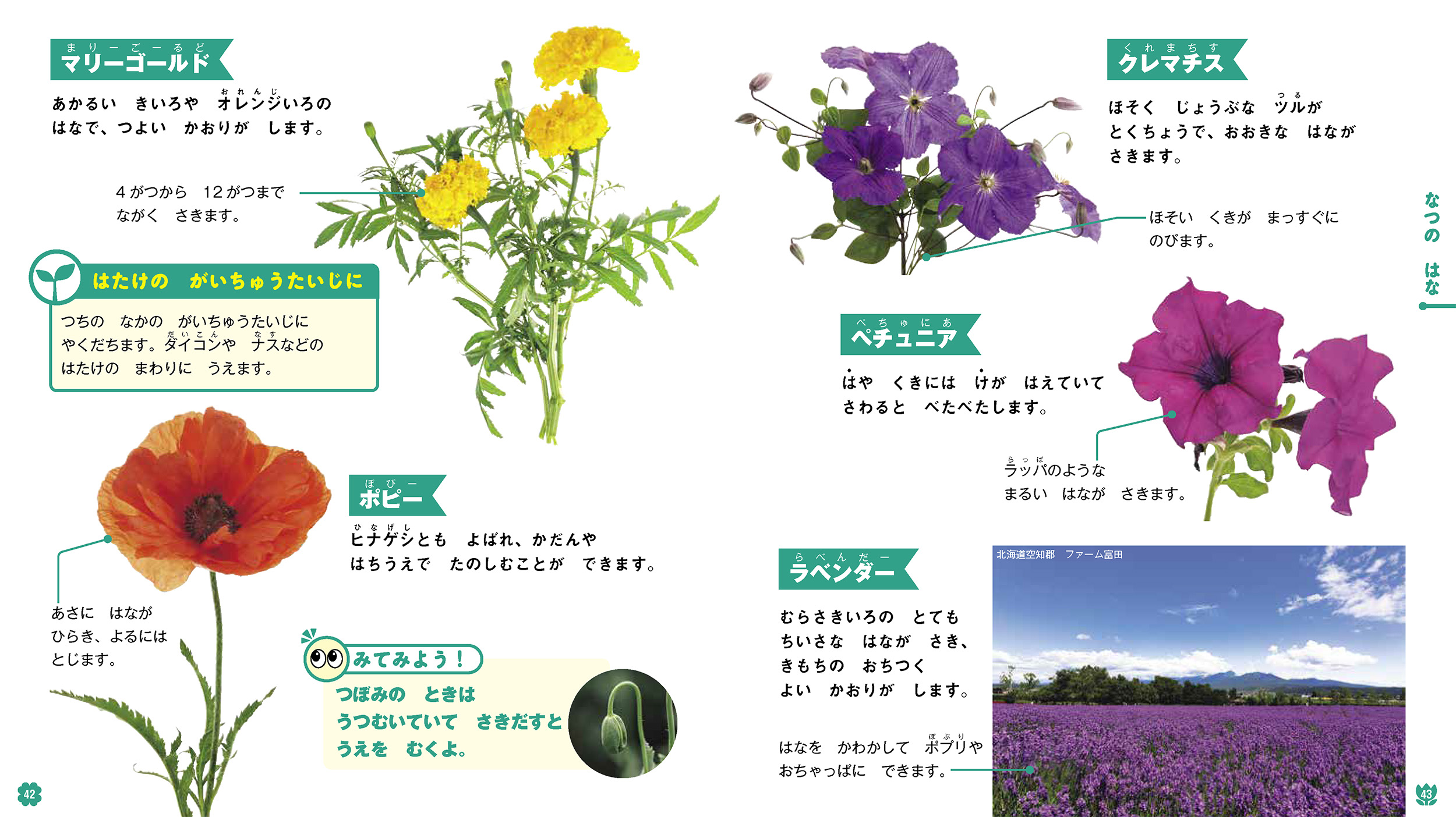 サムネイル画像2