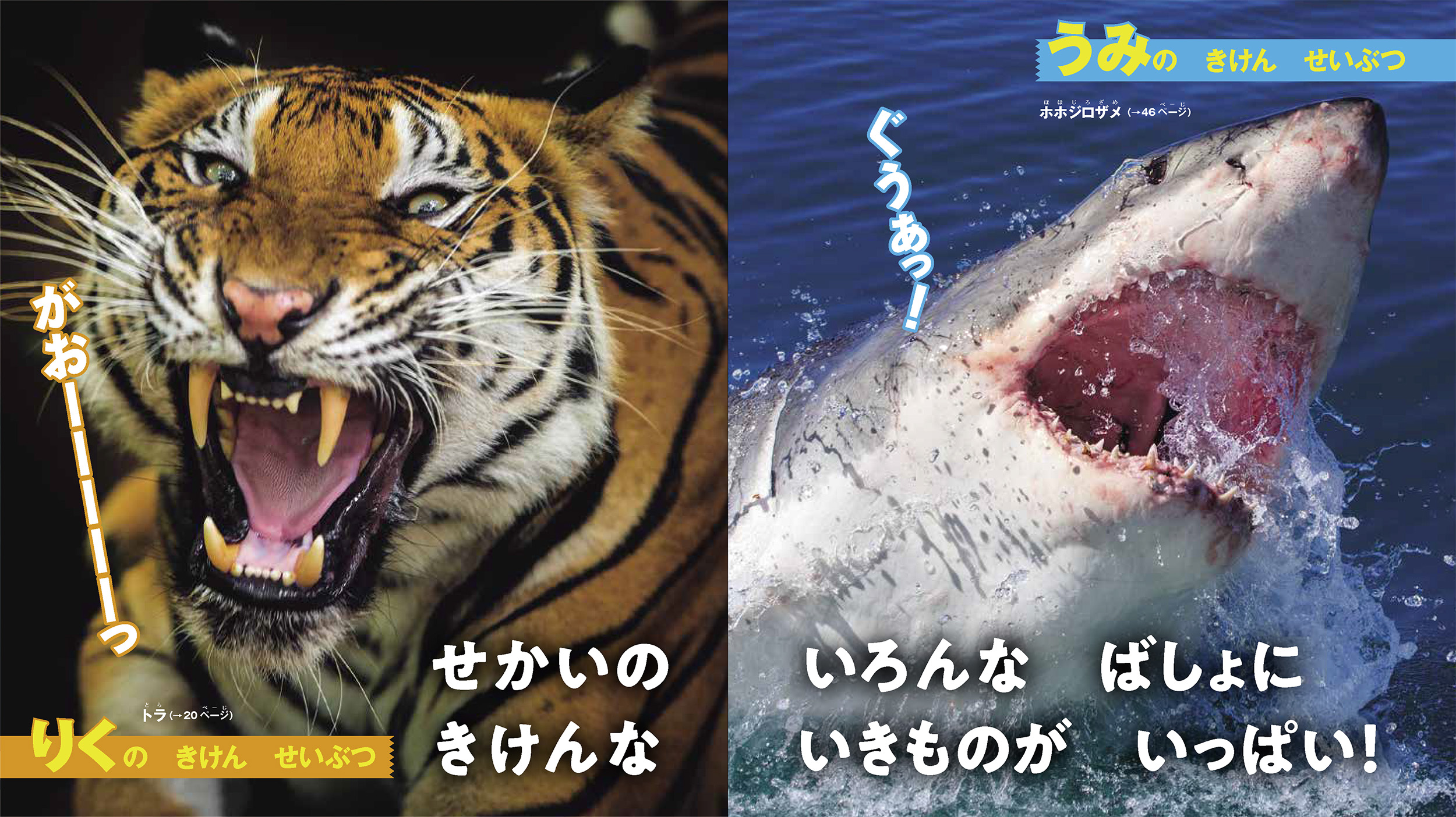 サムネイル画像1