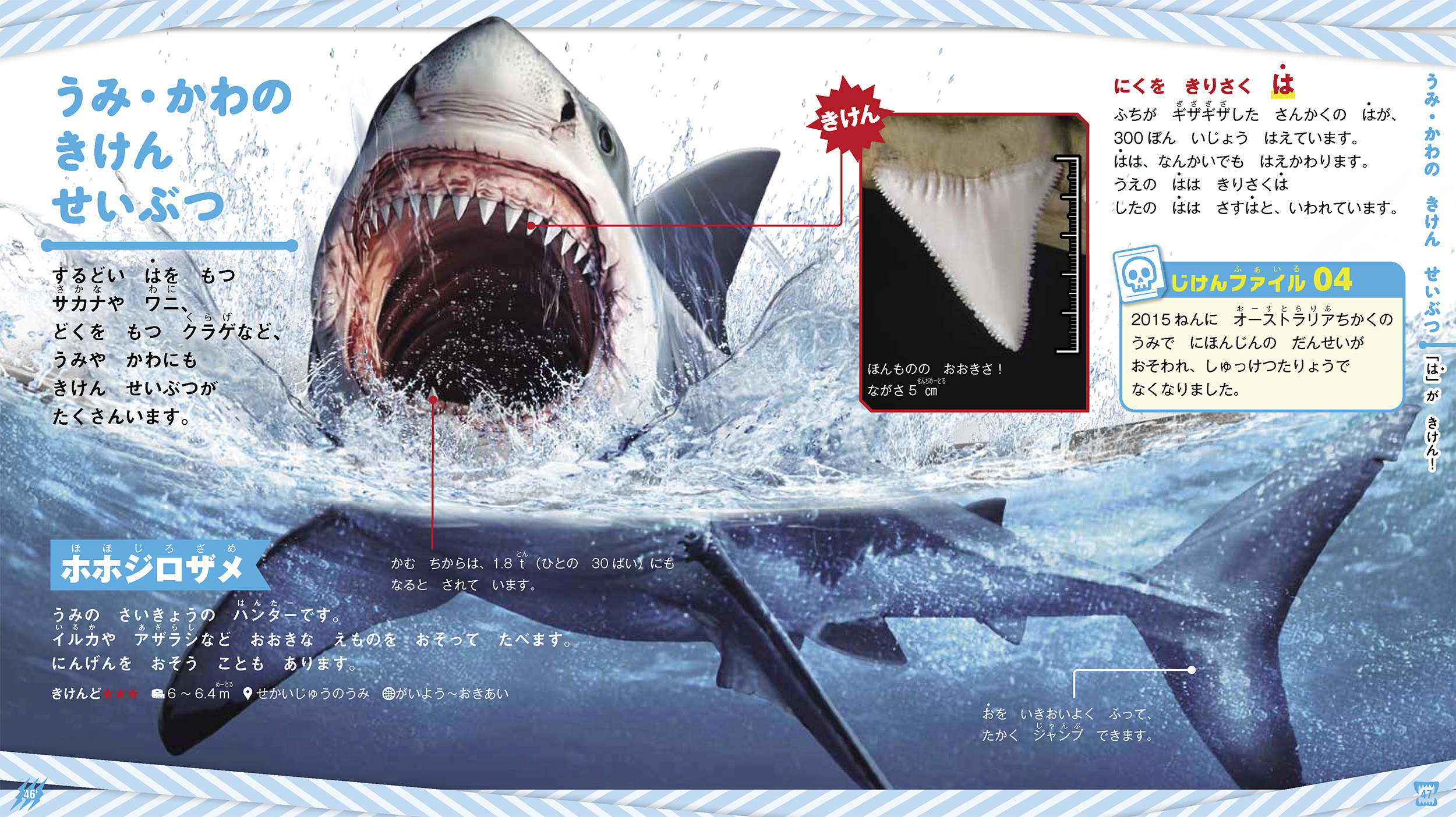 サムネイル画像3
