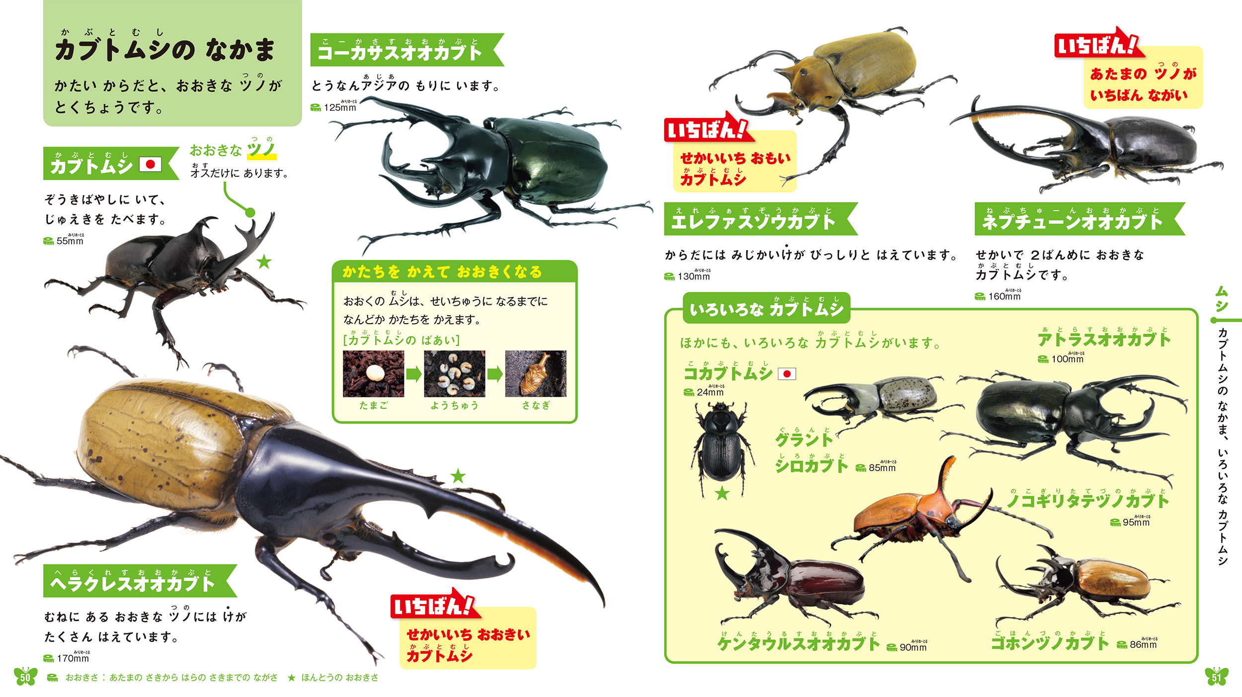 サムネイル画像1
