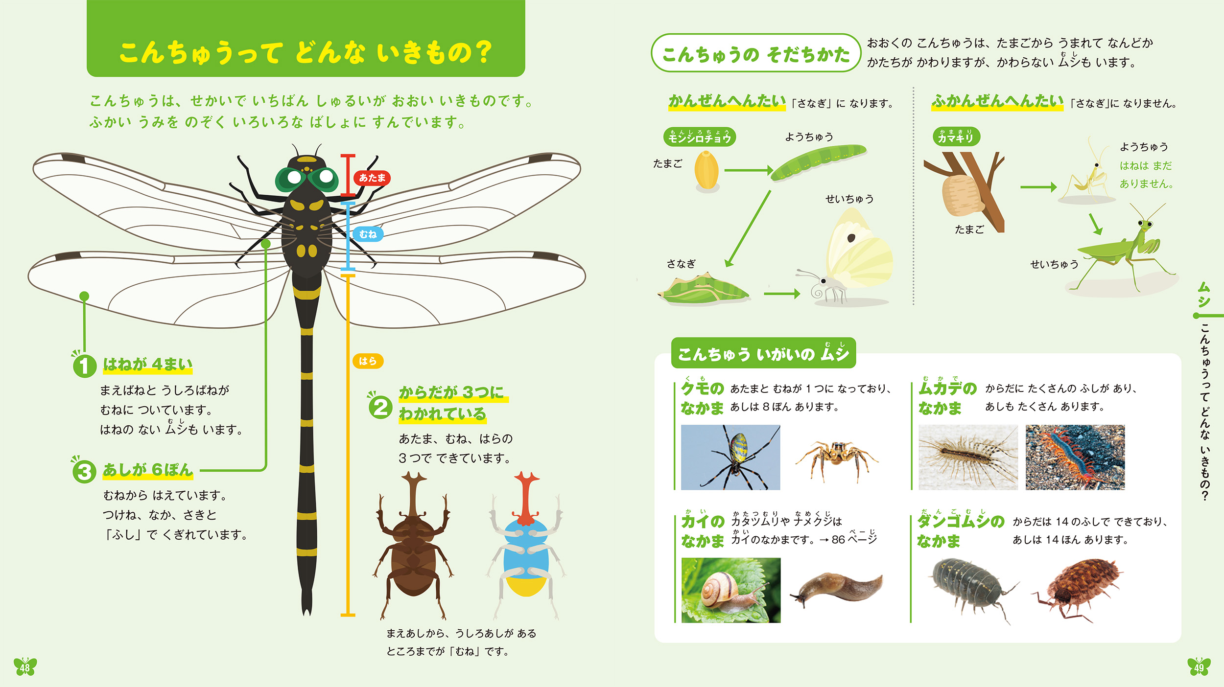 サムネイル画像2